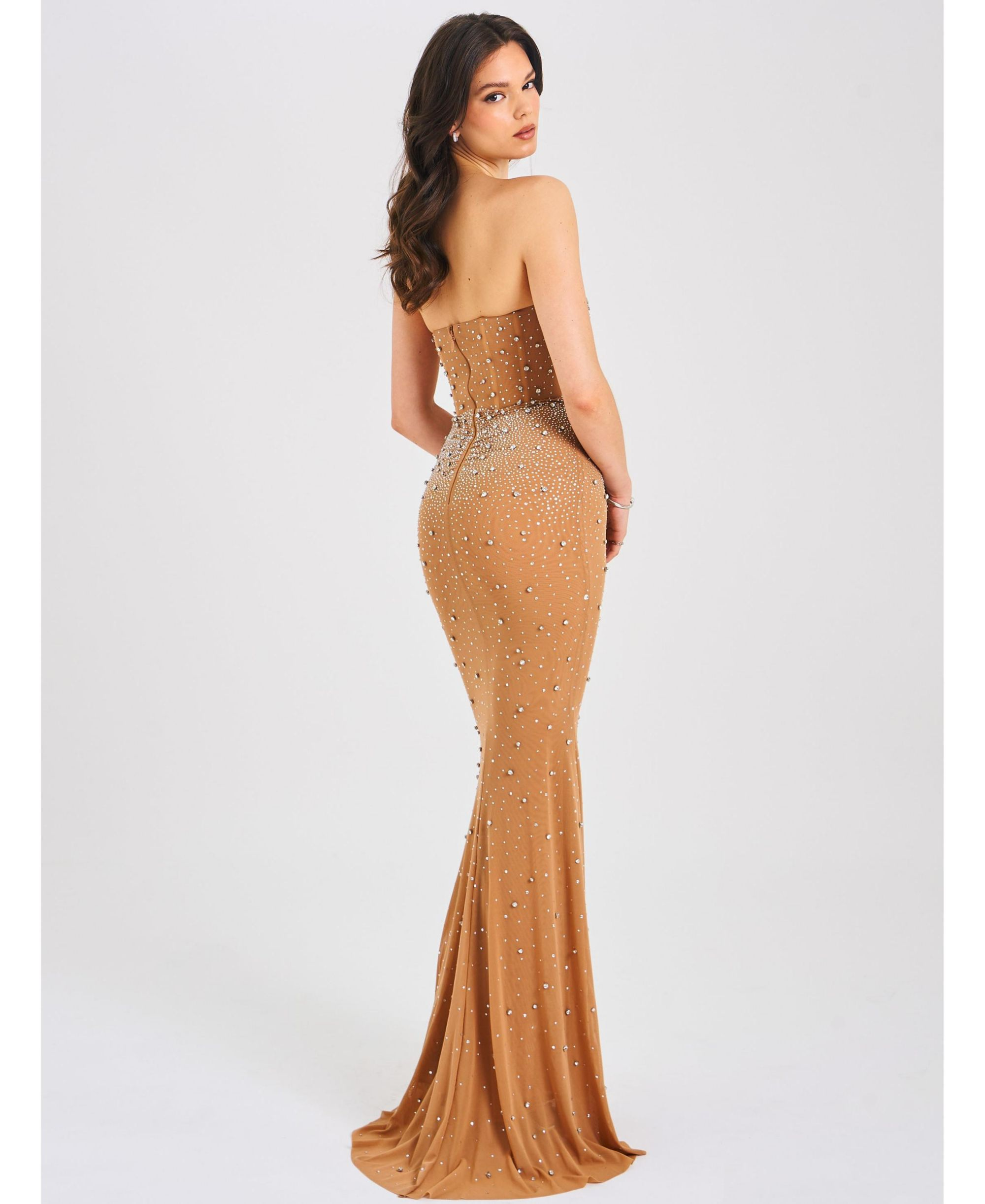 Fatima Embellished Sleeveless Corset Mermaid Maxi Dress — Image 11