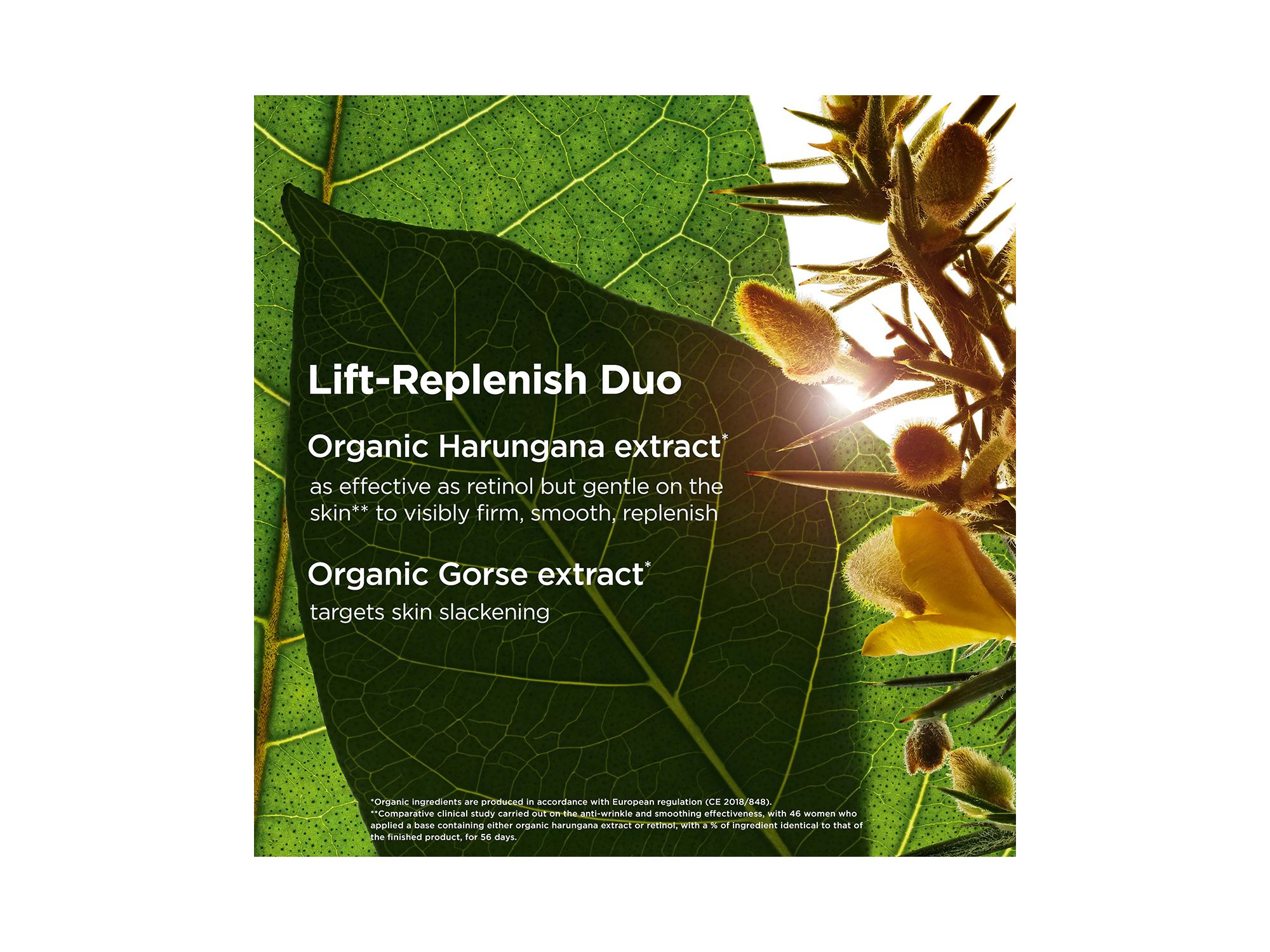 Super Restorative Day Moisturizer SPF 15 Sunscreen 1.7 oz. — Image 3