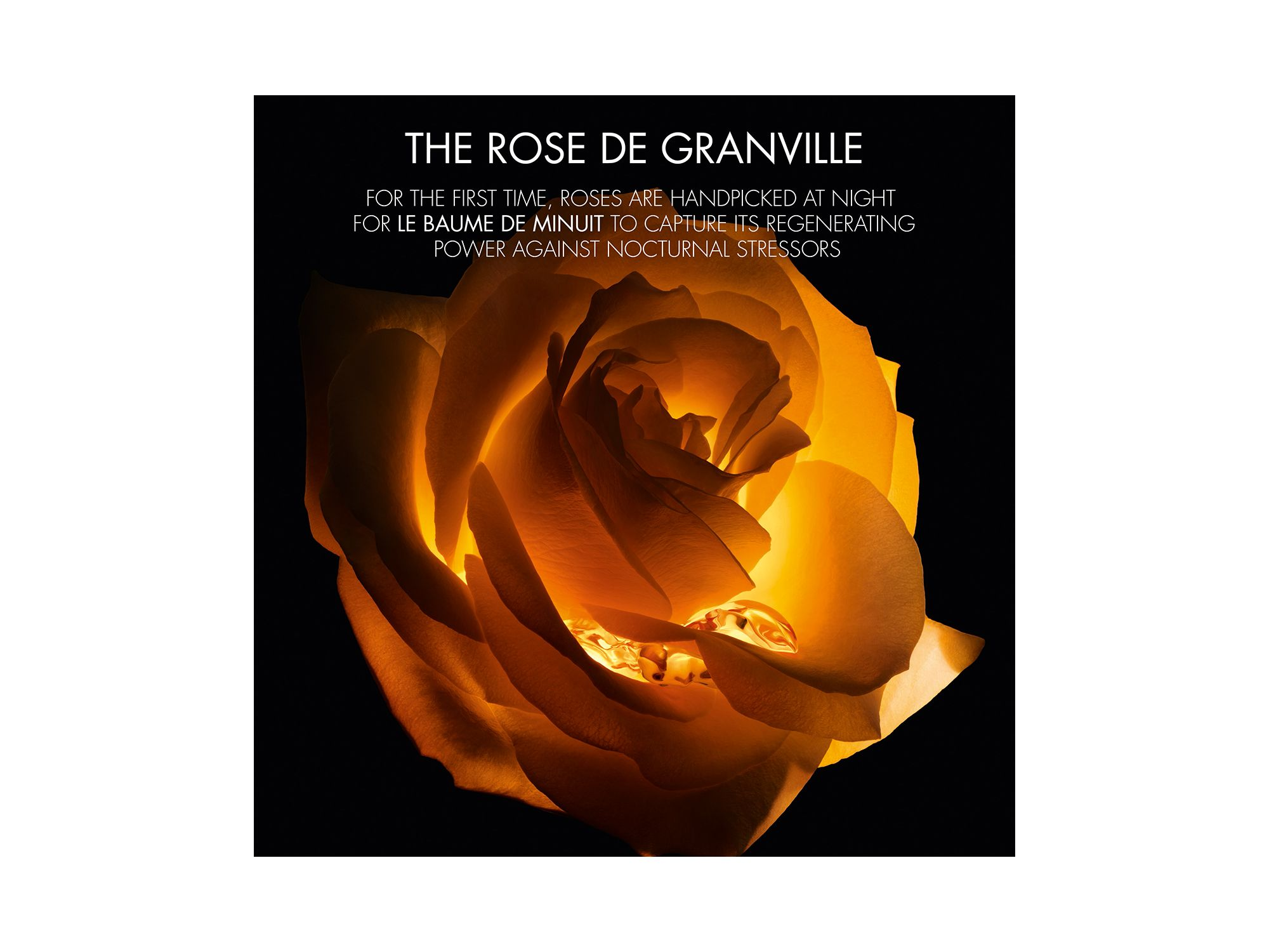Prestige Les Nectars de Rose Set — Image 12
