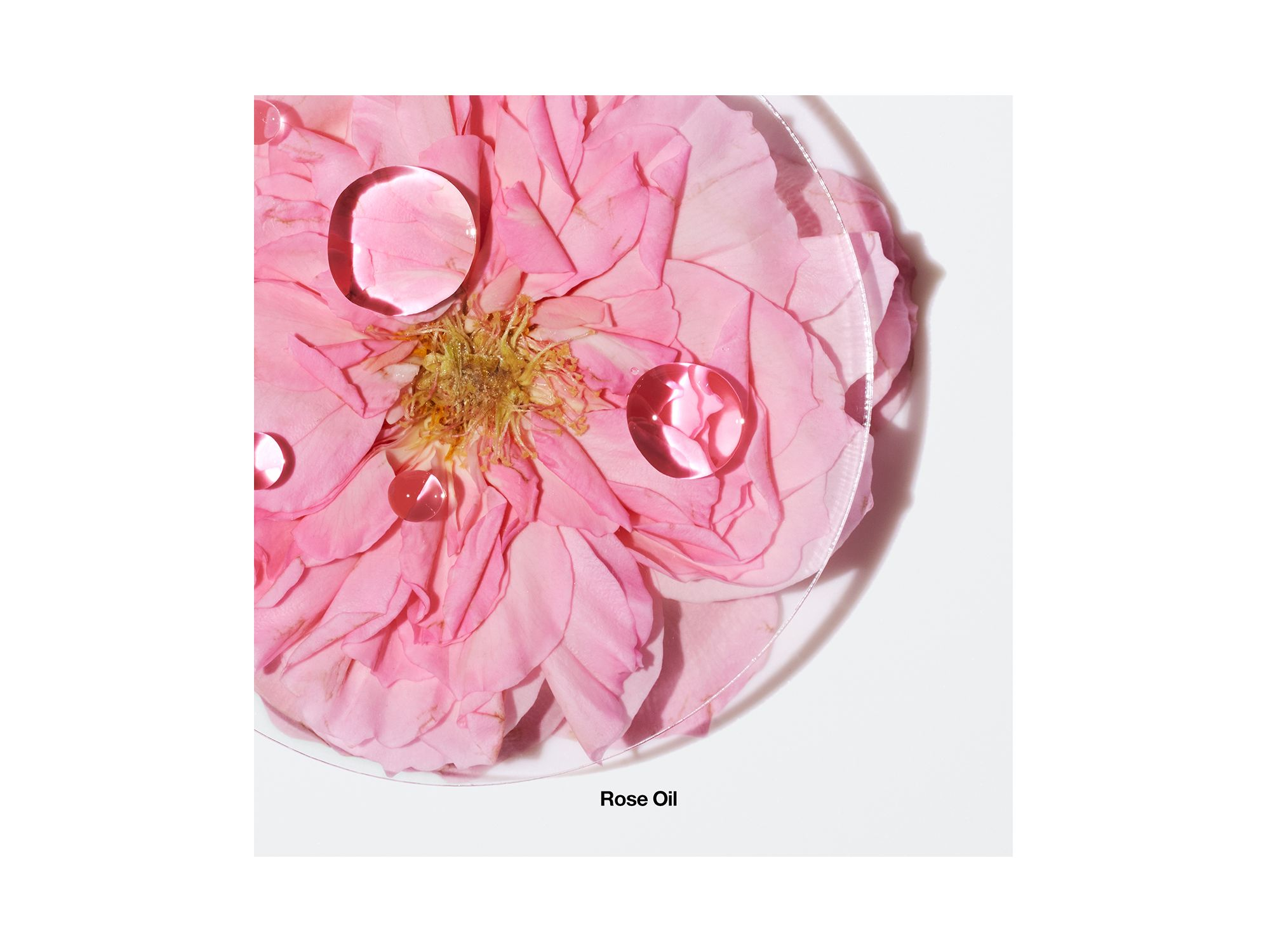 Aromatics Elixir — Image 5