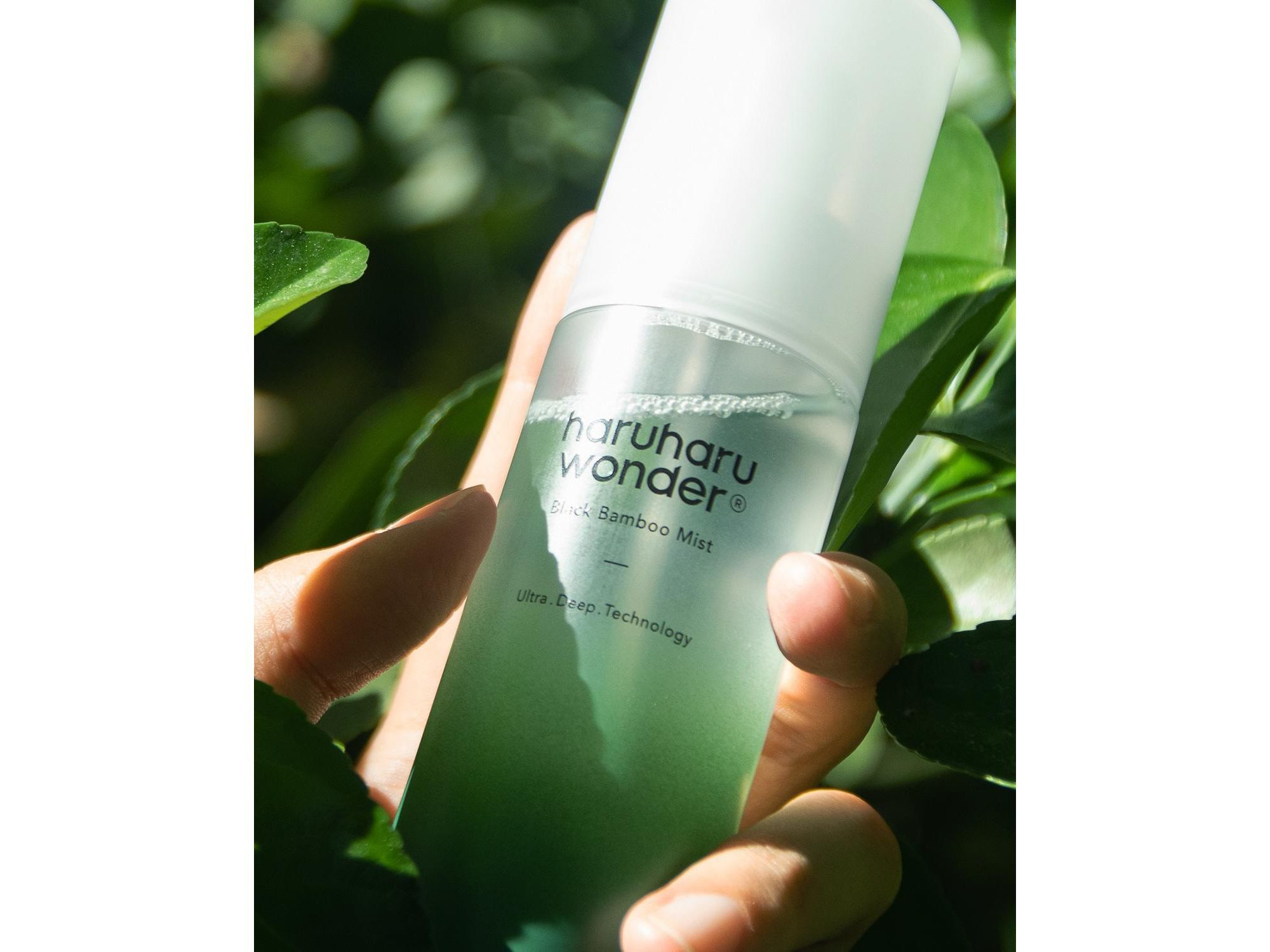 Black Bamboo Mist — Image 4