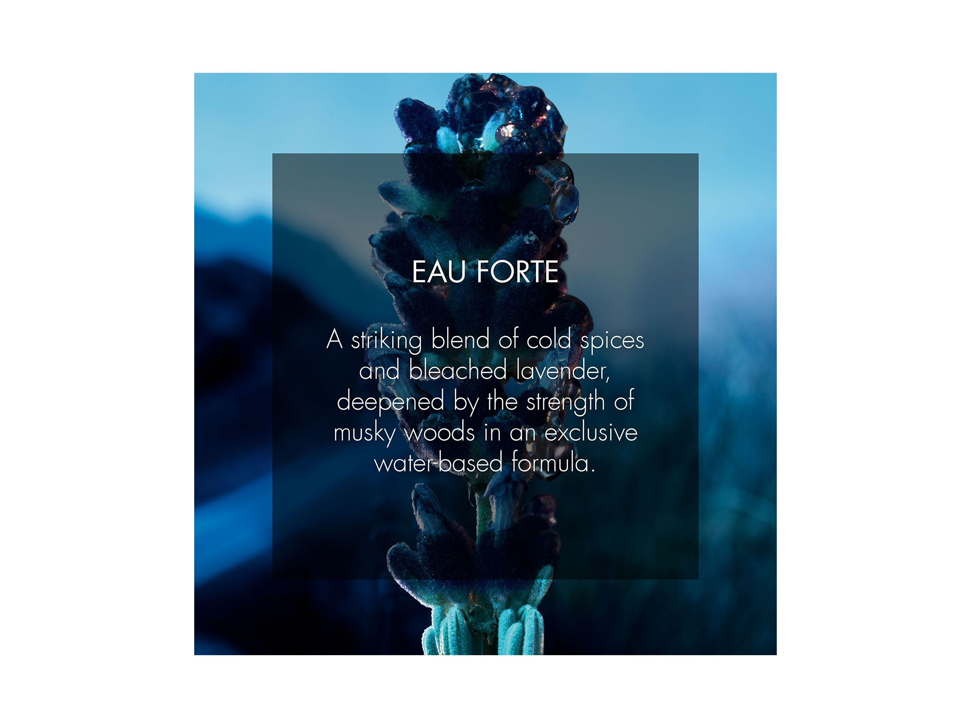 Sauvage Eau Forte Parfum — Image 5