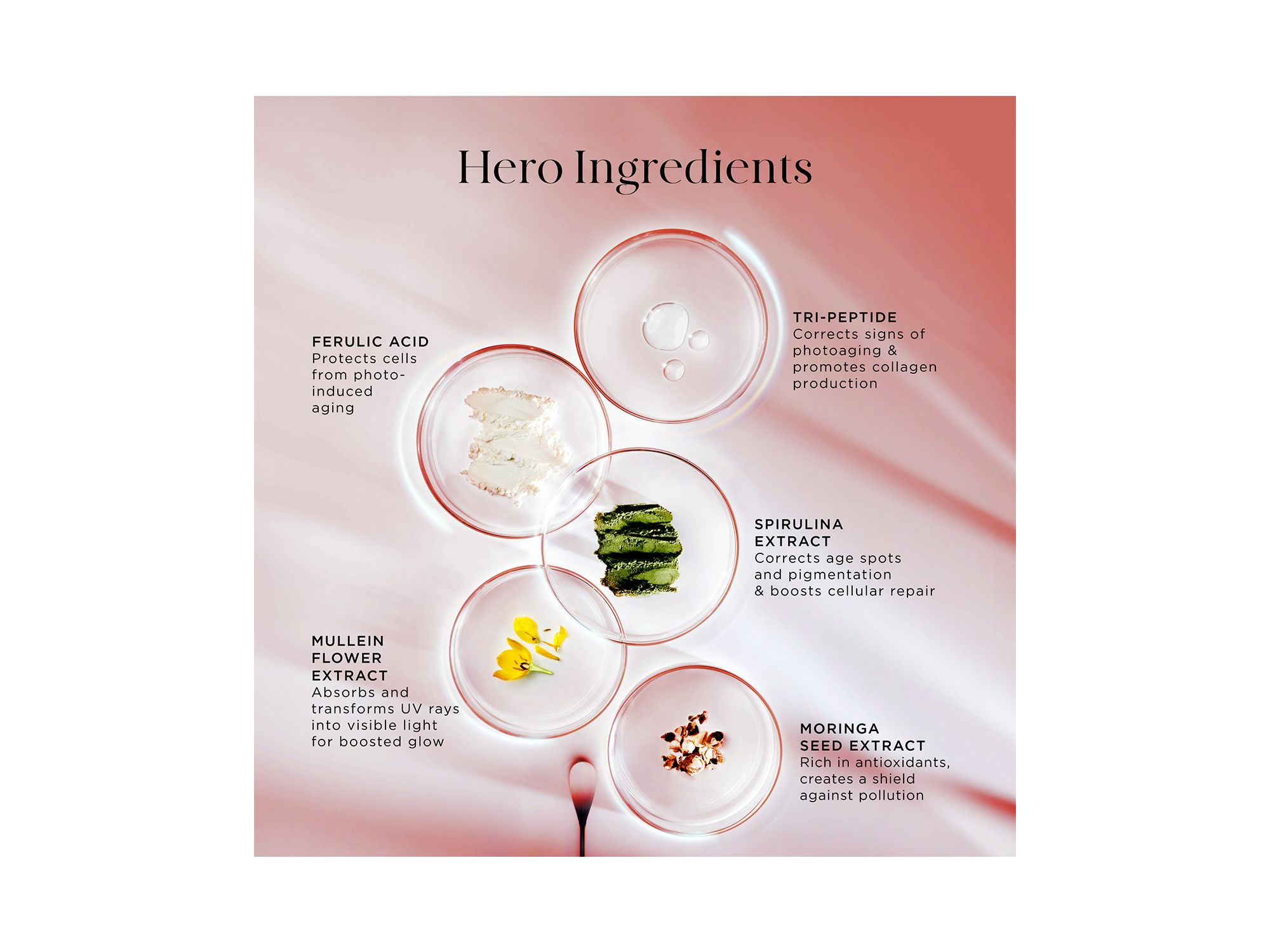 The Energist Multi Defense Cream SPF 50 — Image 5