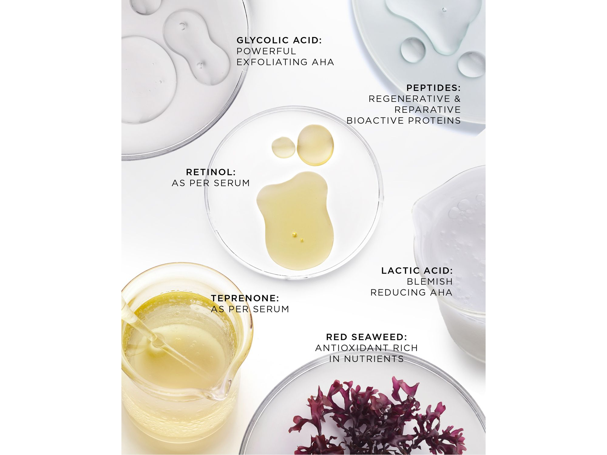 The Absolute Rejuvenation Night Balm — Image 4