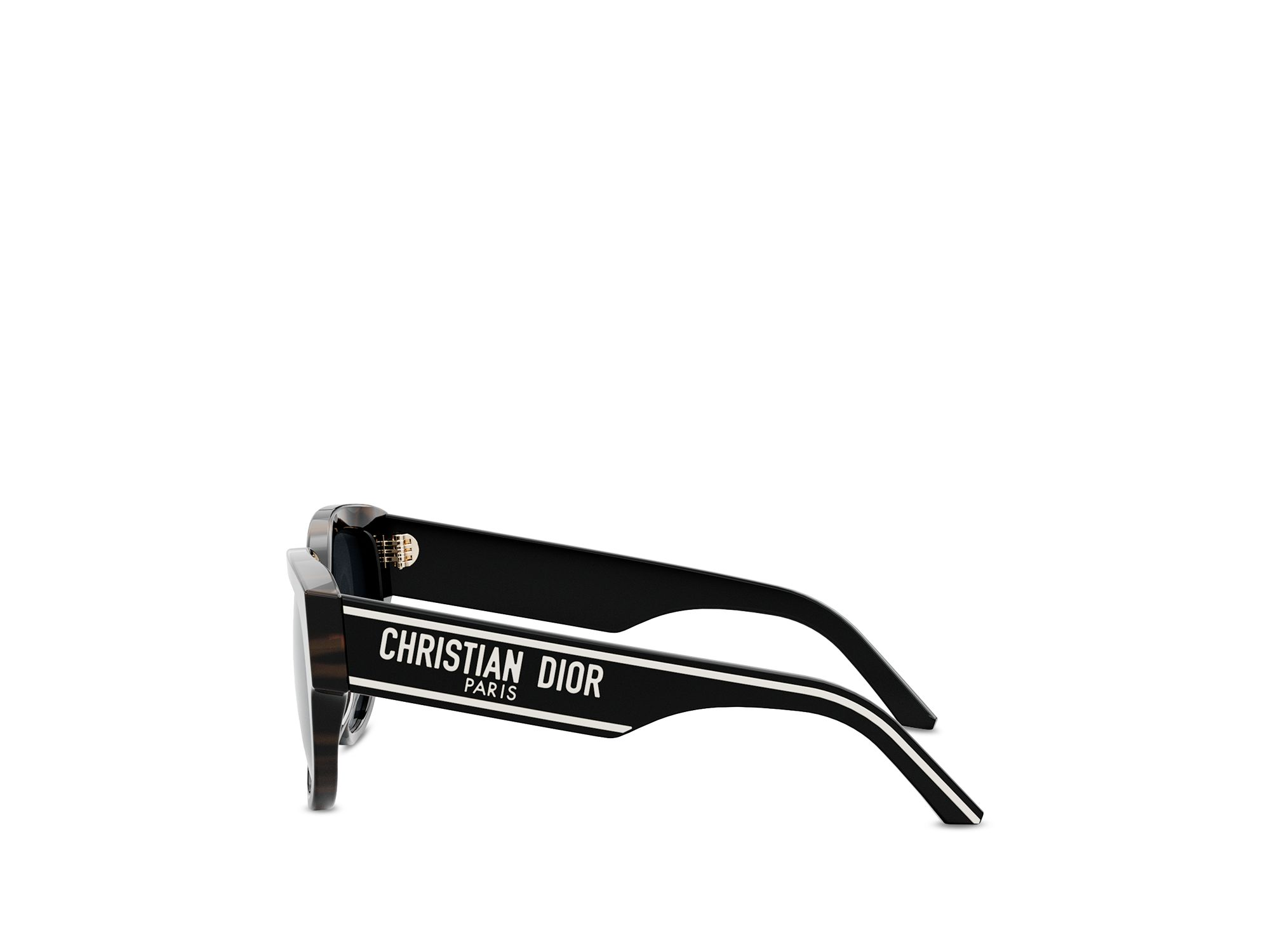 Wildior BU Cat Eye Sunglasses, 54mm — Image 4