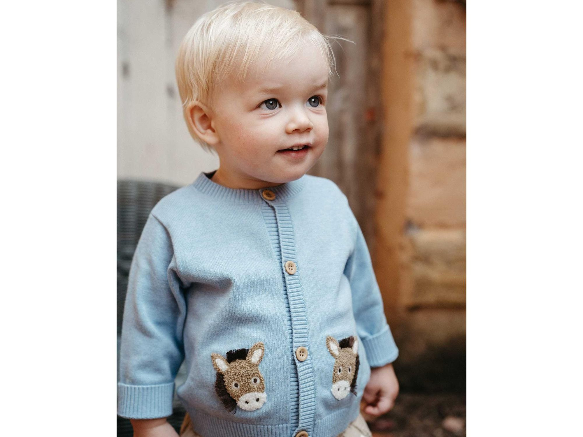 Boys' Fiesta Friends Knit Cardigan Boys - Baby — Image 4