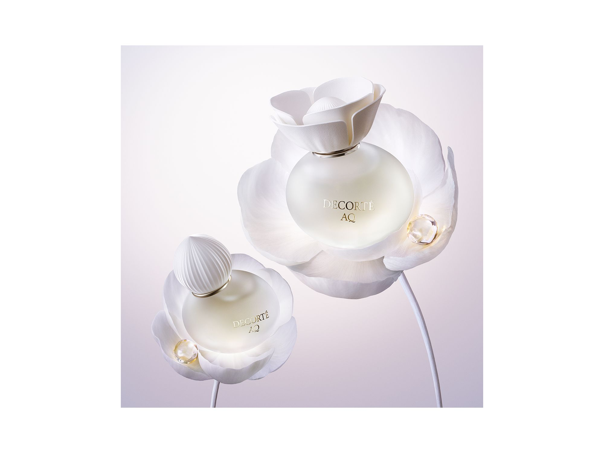 AQ Eau de Parfum — Image 3