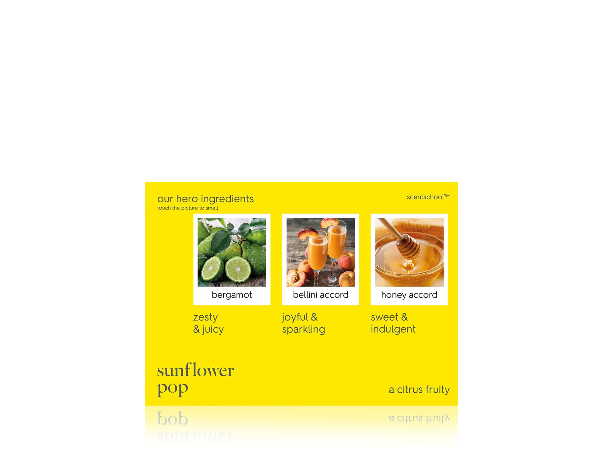 Sunflower Pop Eau de Parfum — Image 7