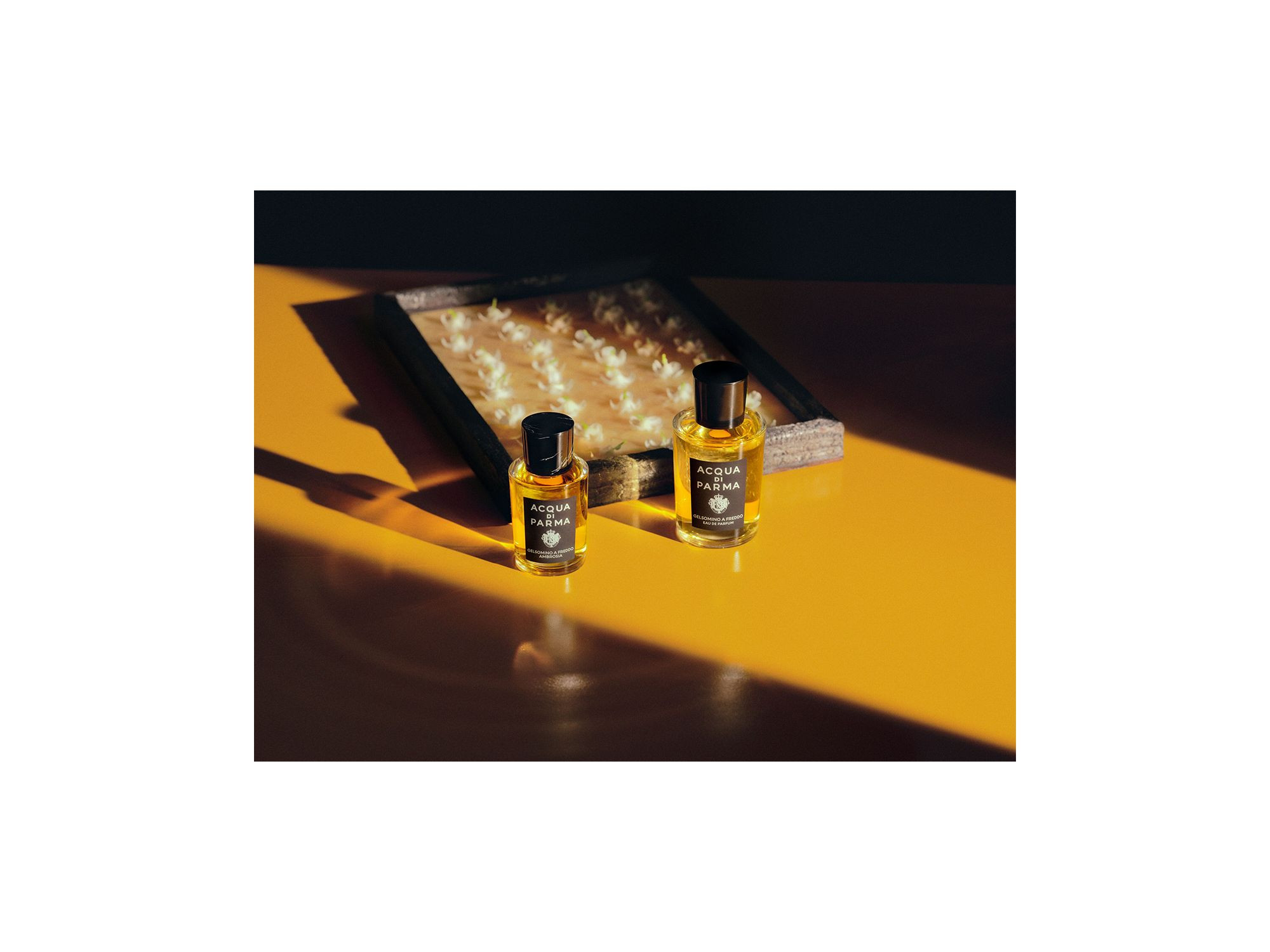 Gelsomino a Freddo Eau de Parfum — Image 7