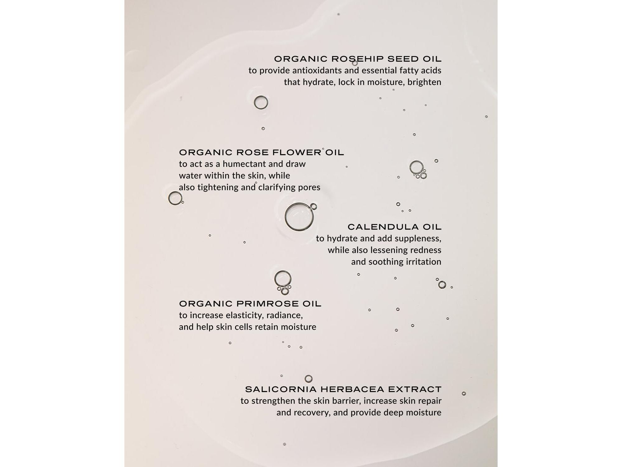 The Illuminate Set — Image 6