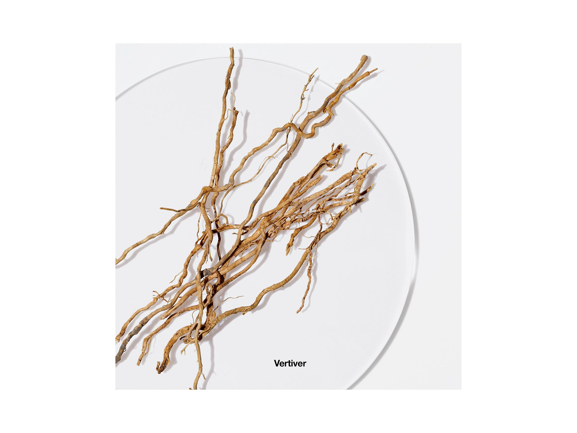 Aromatics Elixir — Image 7