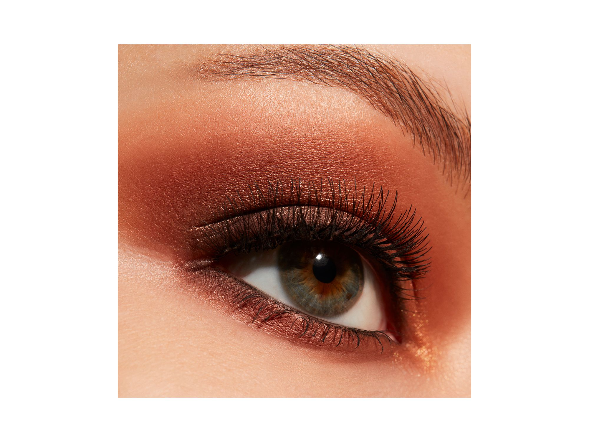 Connect in Colour Eye Shadow Palette - 12 Pan — Image 3