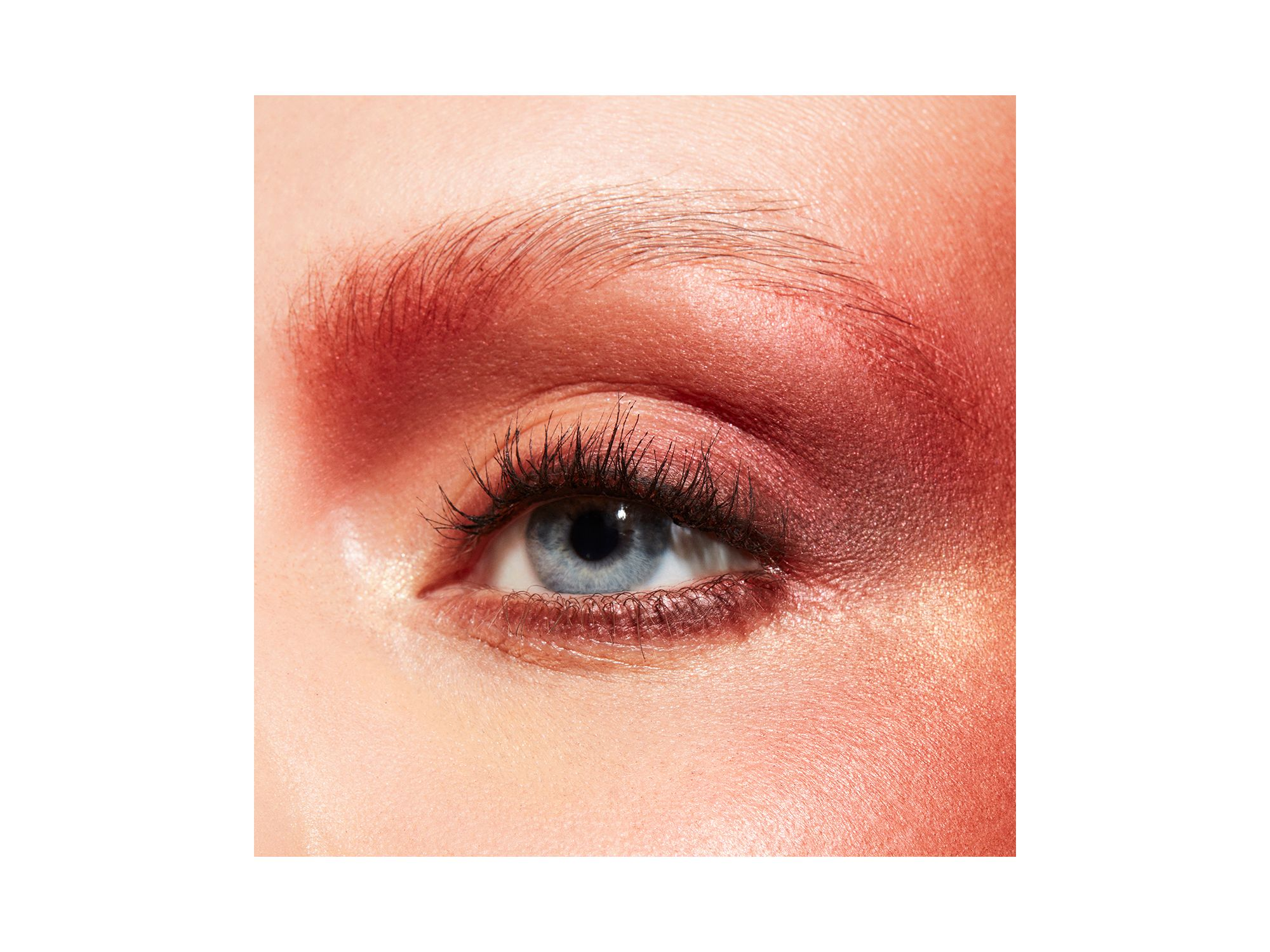 Connect in Colour Eye Shadow Palette - 12 Pan — Image 4
