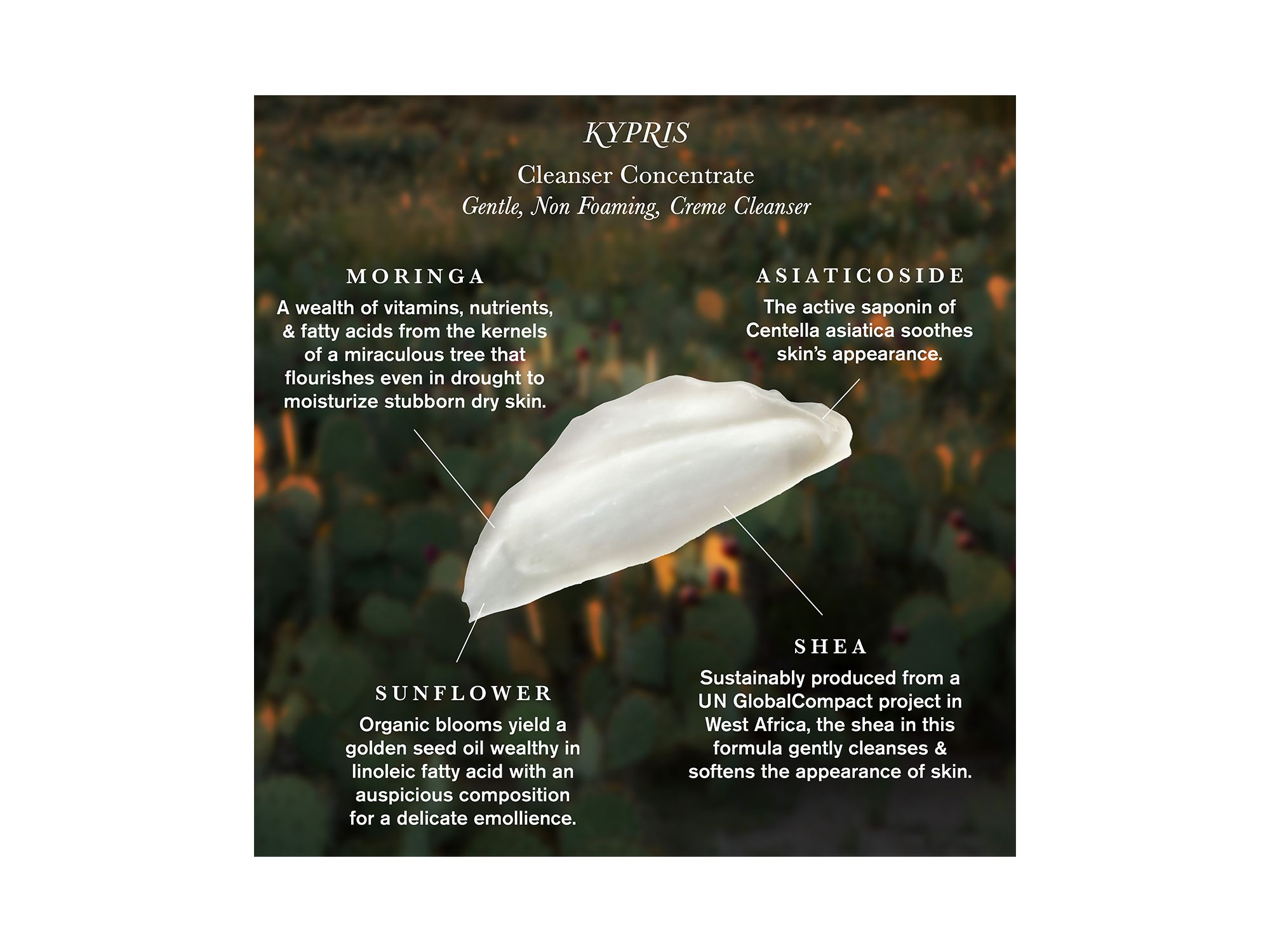 Cleanser Concentrate 2.4 oz. — Image 3