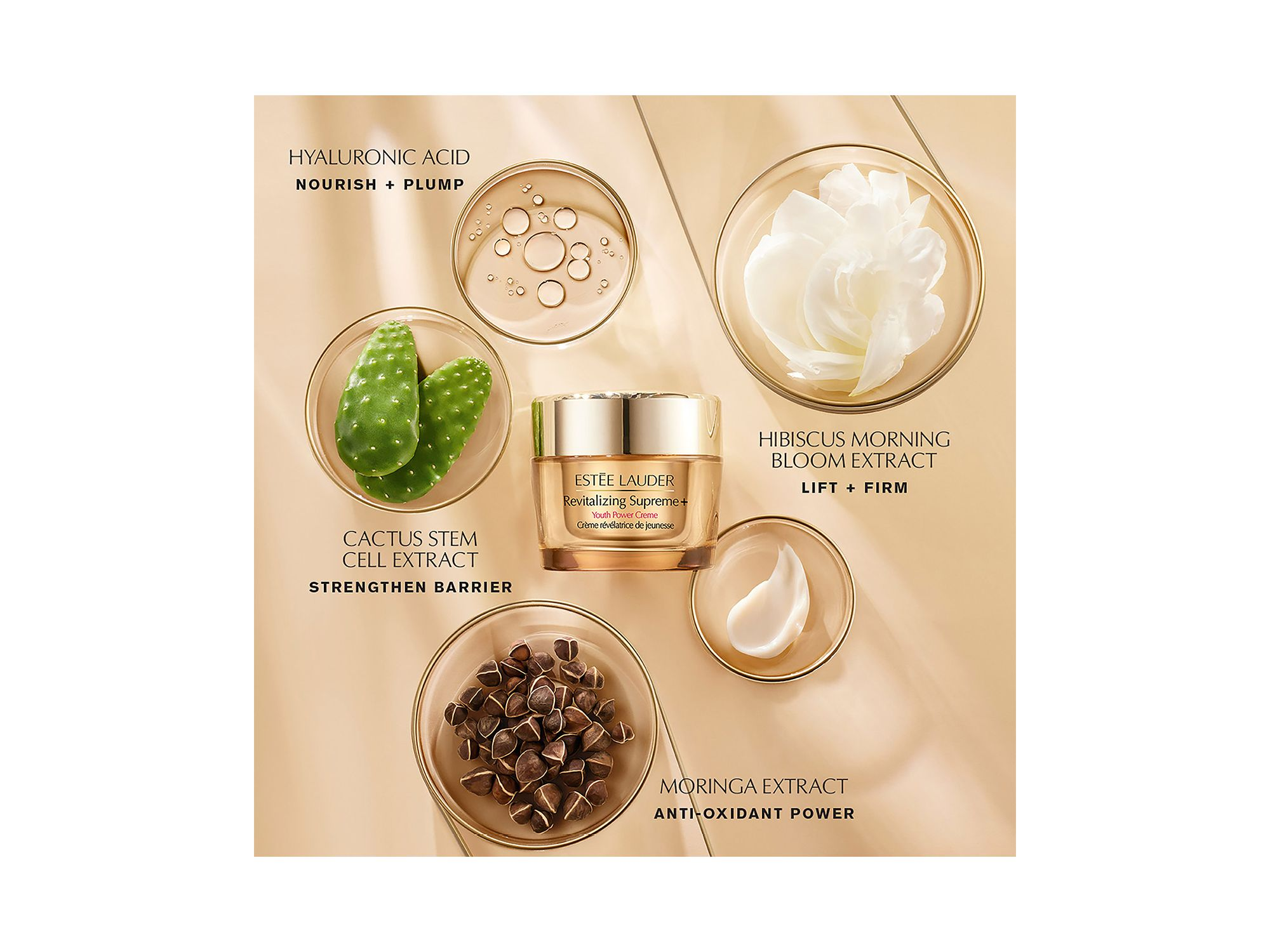 Nightly Renewal Skincare Set ($197 value) — Image 15
