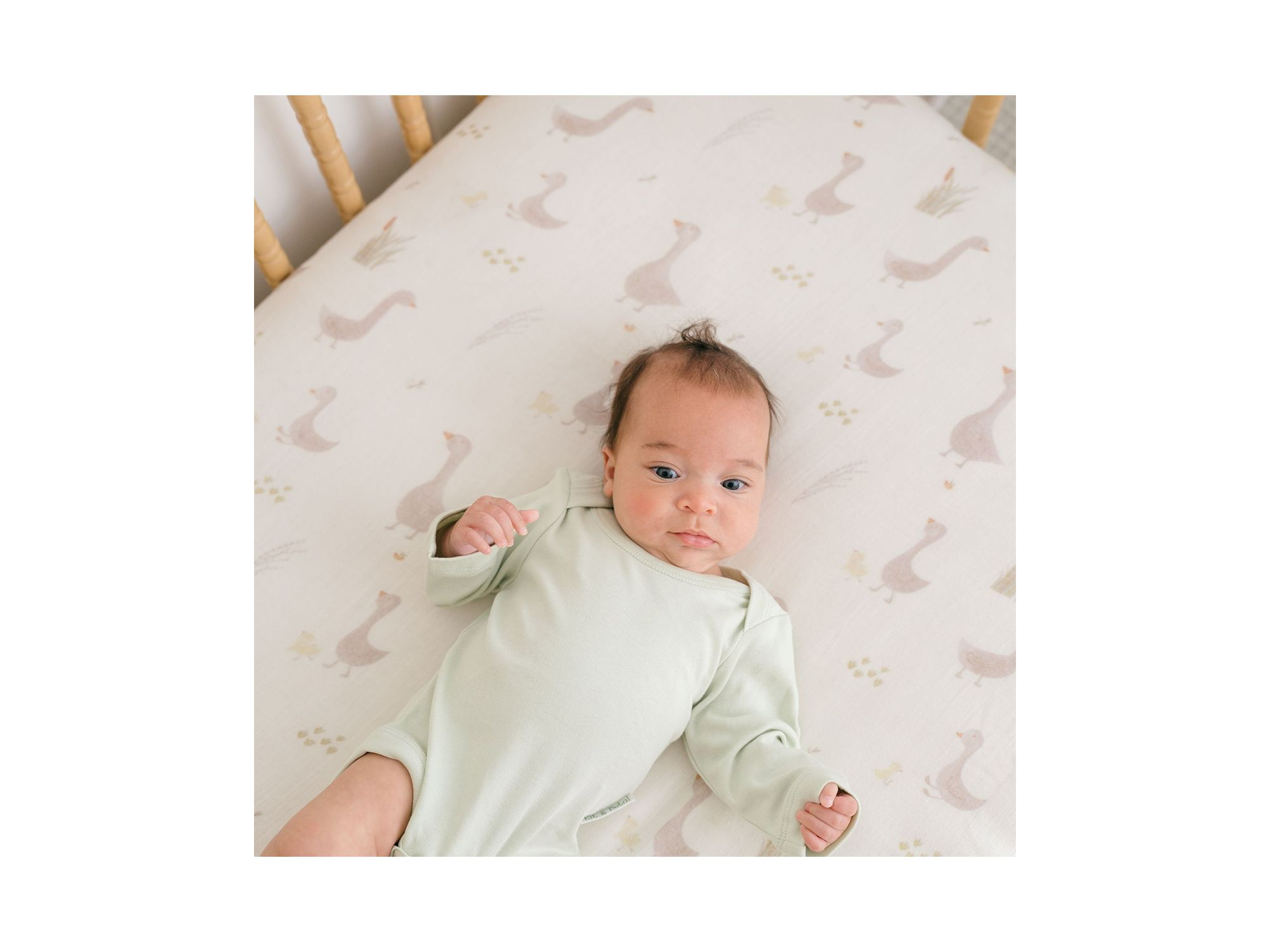 Unisex Charlie Fitted Crib Sheet — Image 6