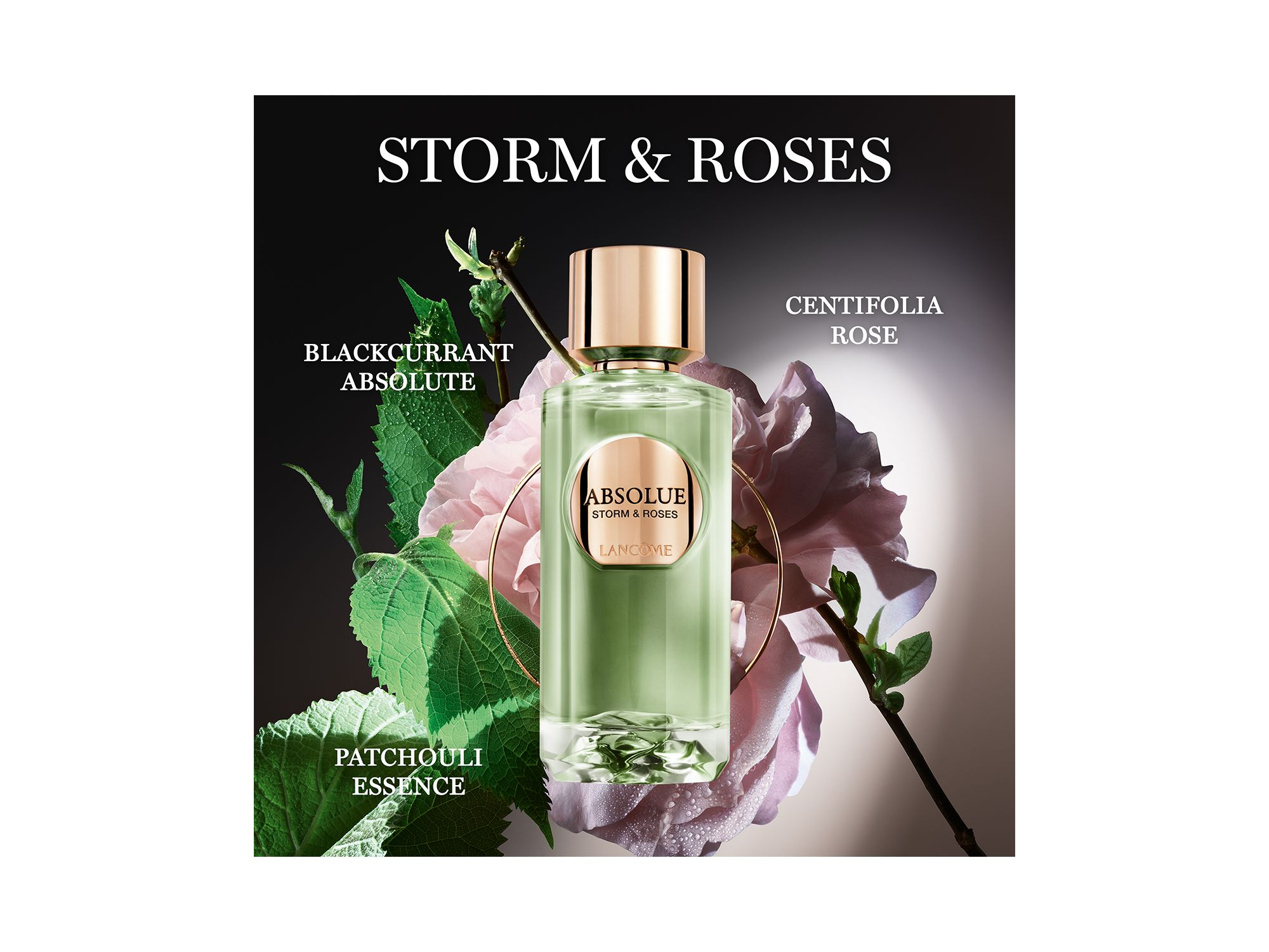 Absolue Storm & Roses Eau de Parfum 3.4 oz. — Image 4