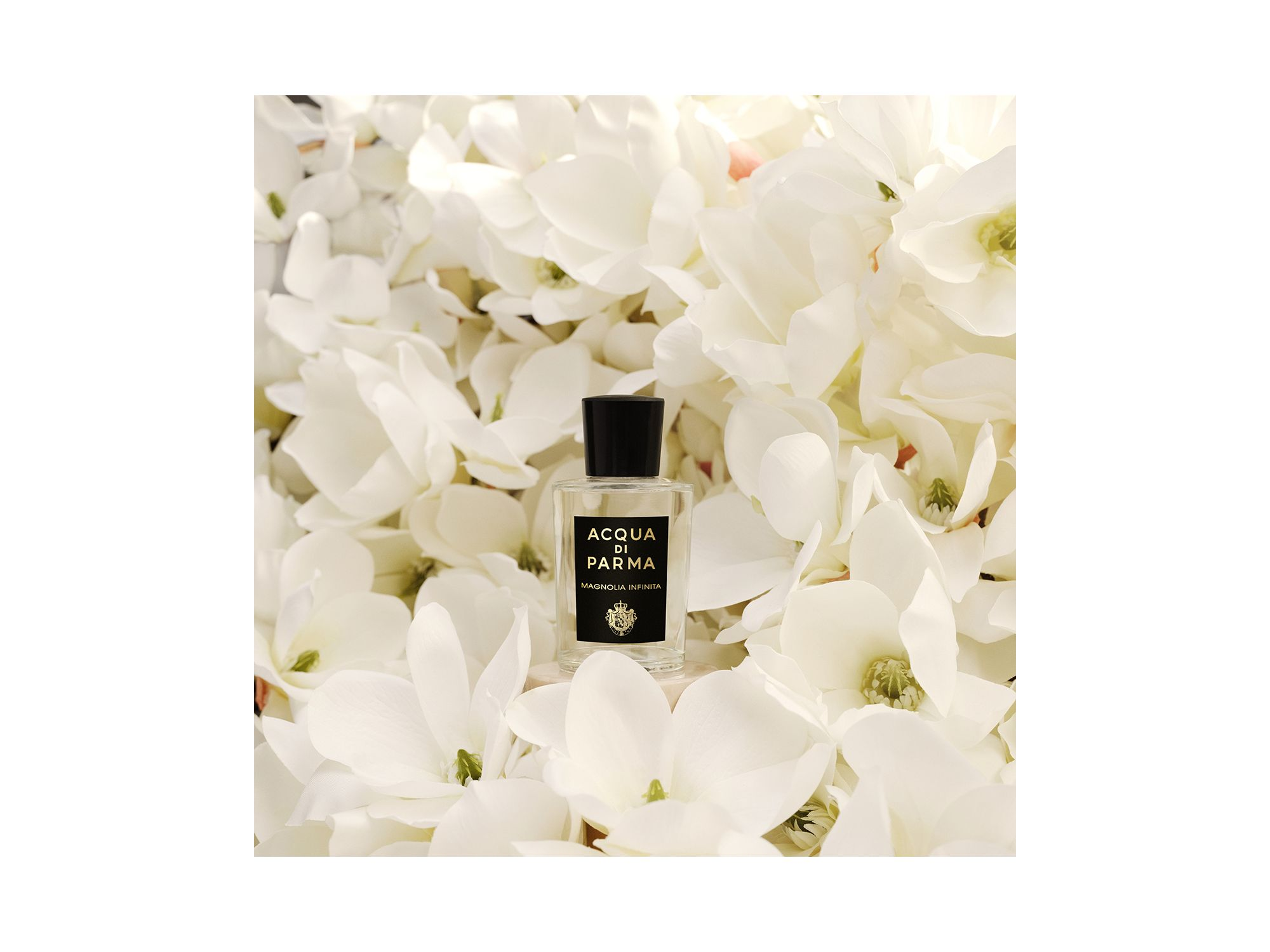 Signatures of the Sun Magnolia Infinita Eau de Parfum 6 oz. — Image 5