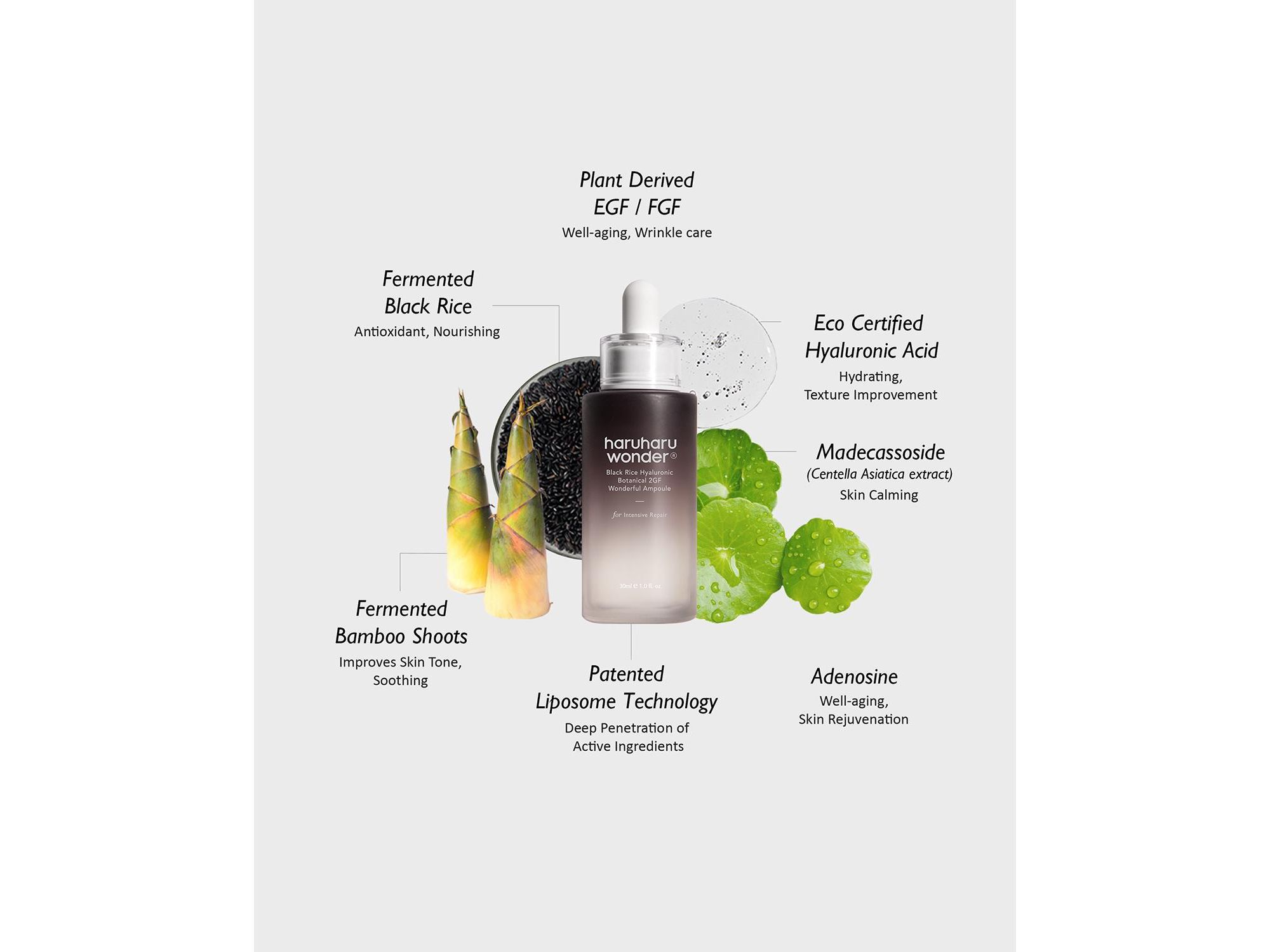 Black Rice Hyaluronic Botanical 2GF Wonderful Ampoule — Image 7
