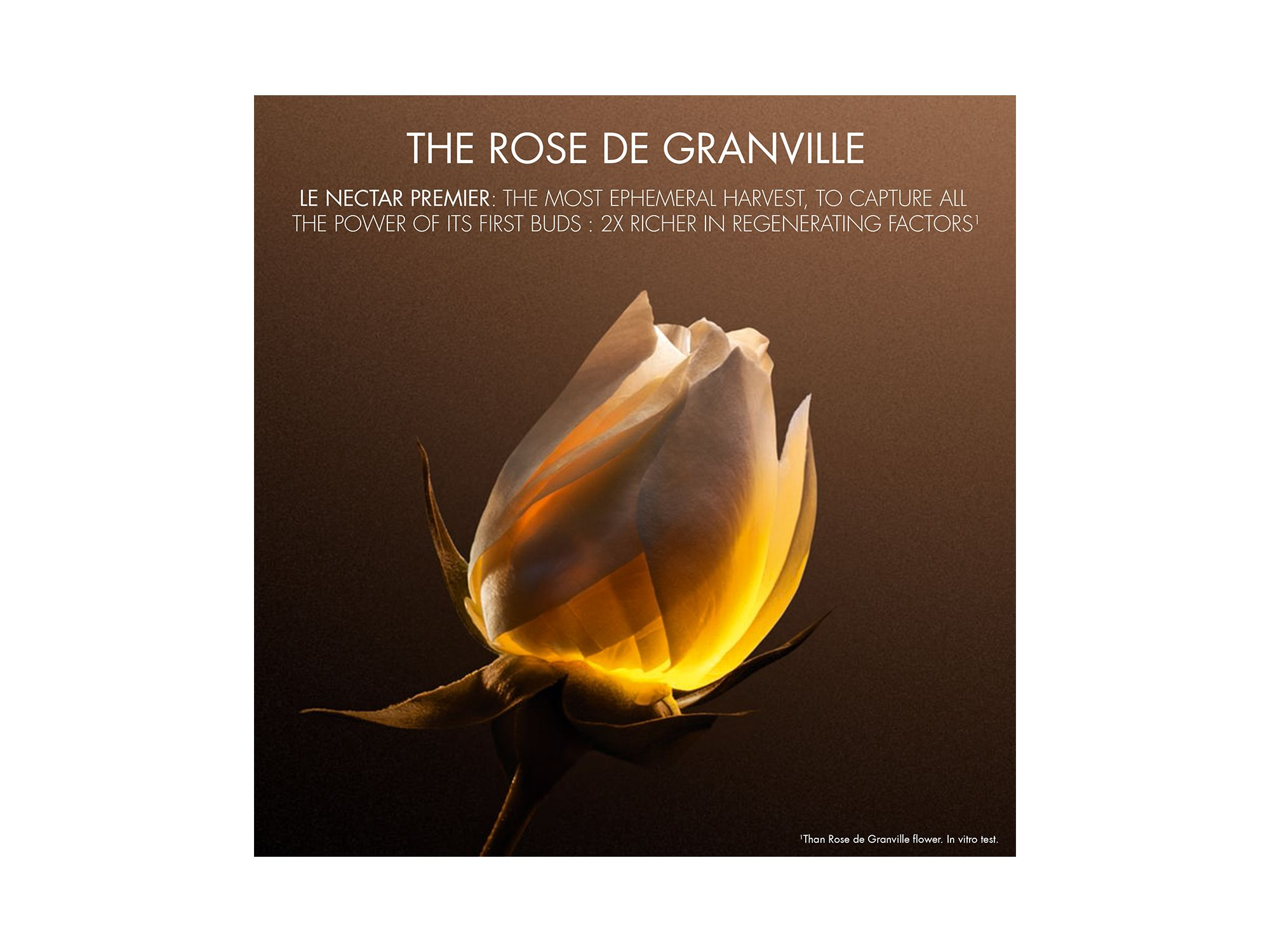 Prestige Les Nectars de Rose Set — Image 8