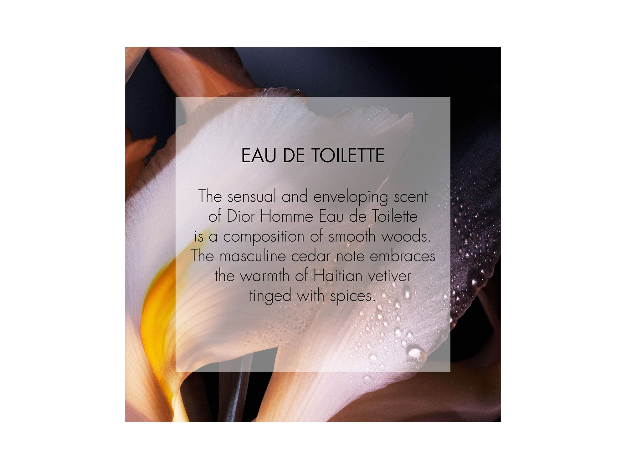 Eau de Toilette — Image 4