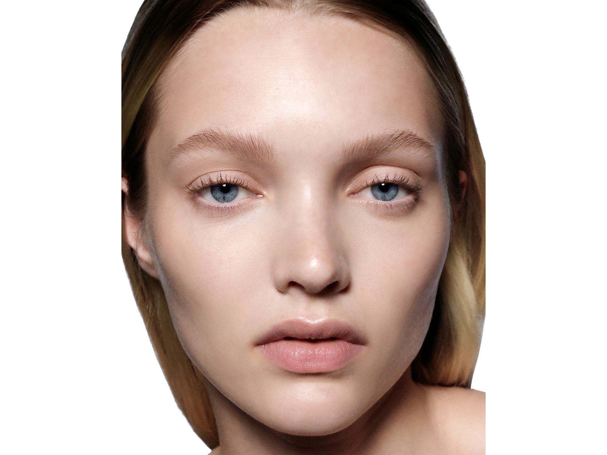 FeatherFix — Image 3