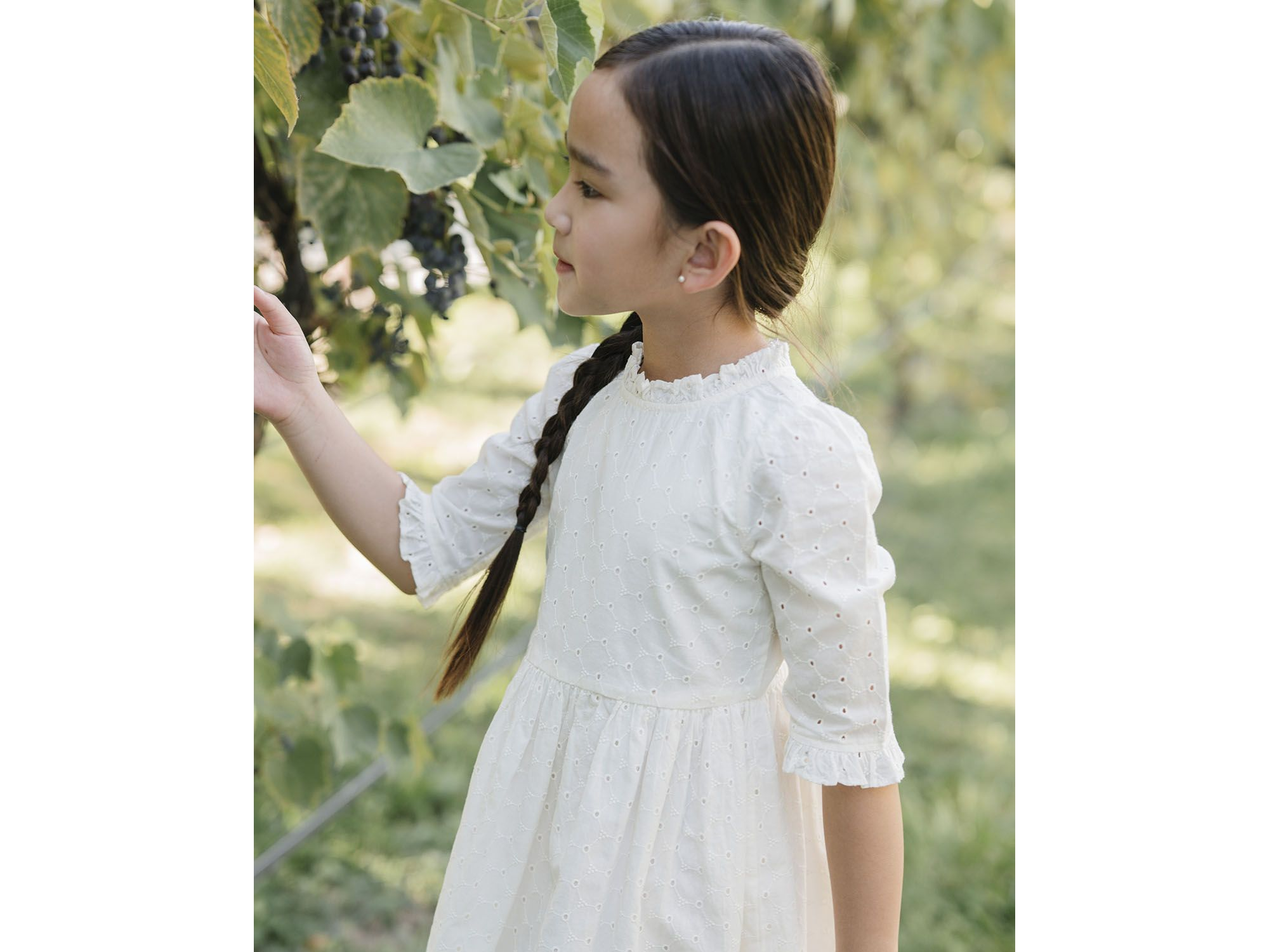 Girls' Organic Flutter Sleeve Tiered Eyelet Dress - Little Kid, Big Kid — Image 4
