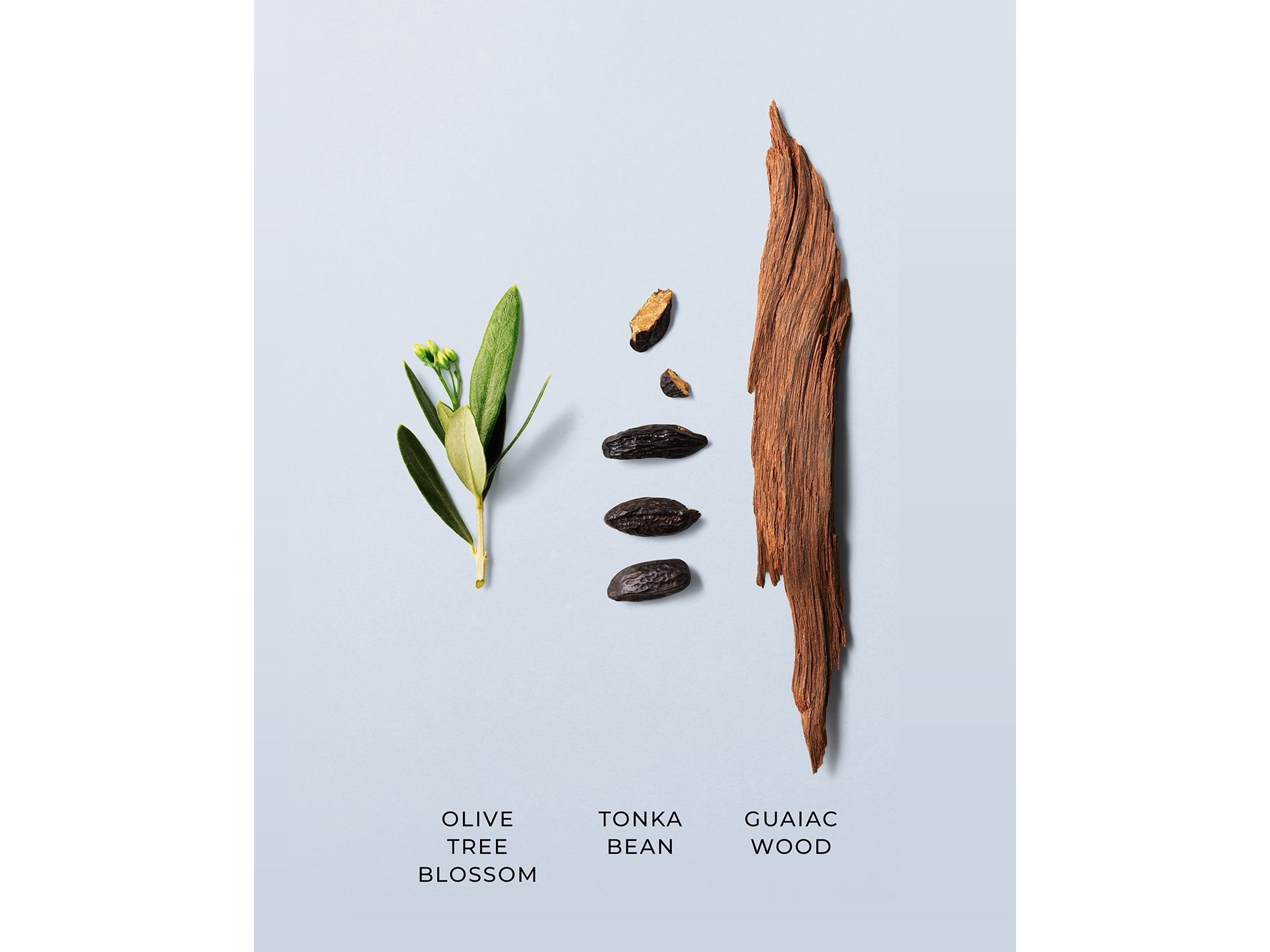 Acqua di Giò Men's Deodorant Stick — Image 3