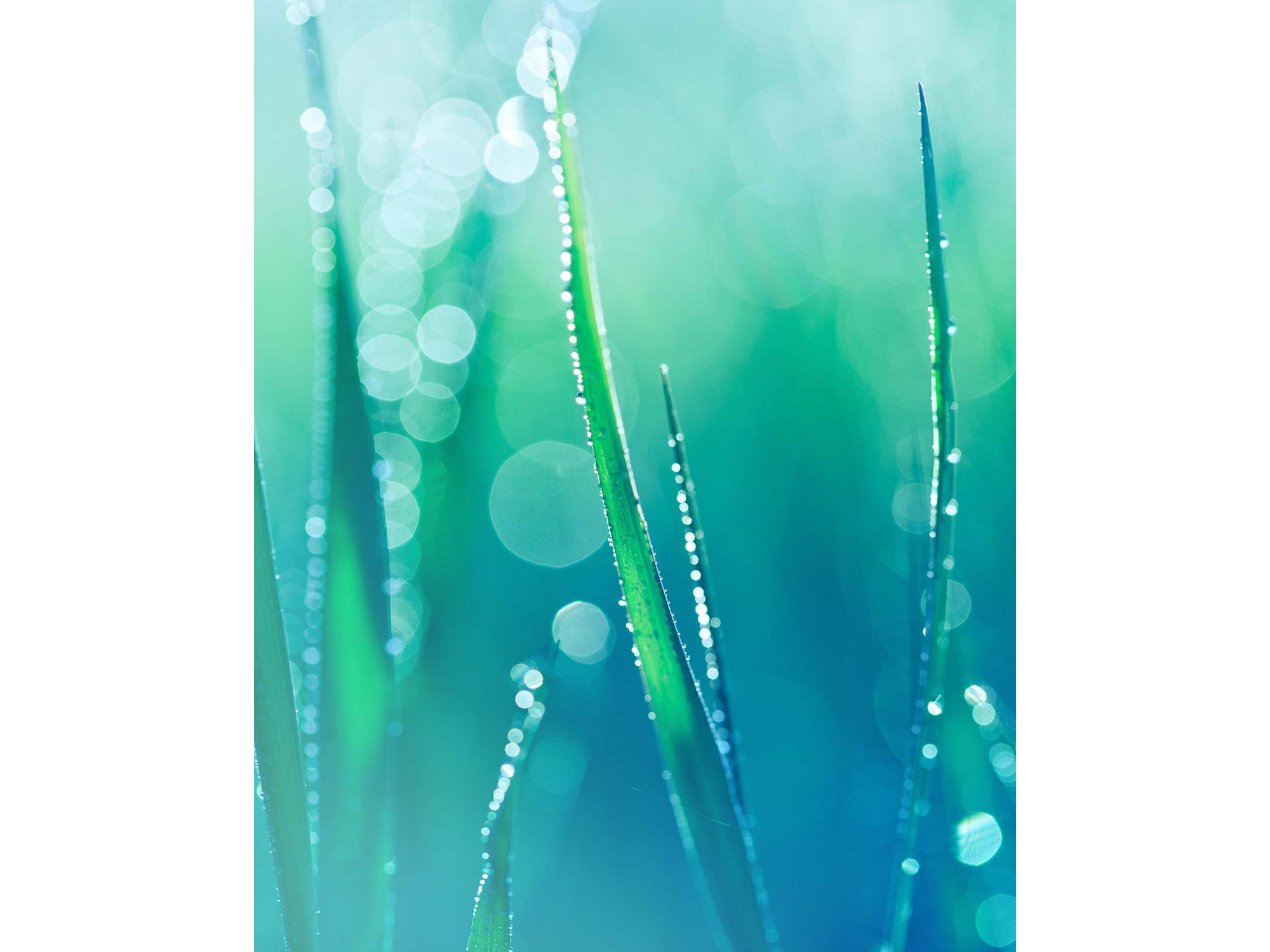 My Happy Indigo Mist 0.5 oz. — Image 4