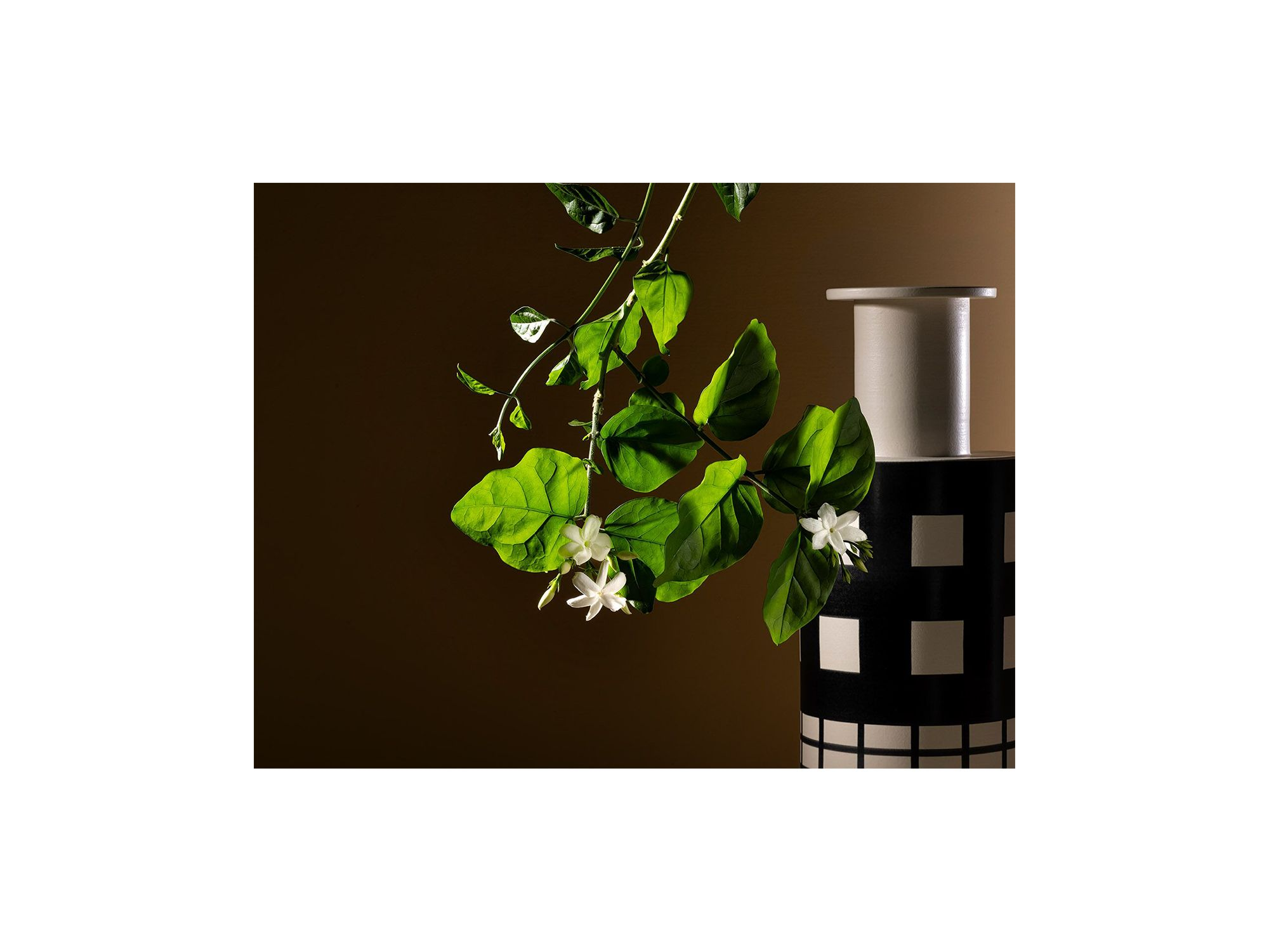 Gelsomino a Freddo Ambrosia Extrait de Parfum 1.7 oz. — Image 4