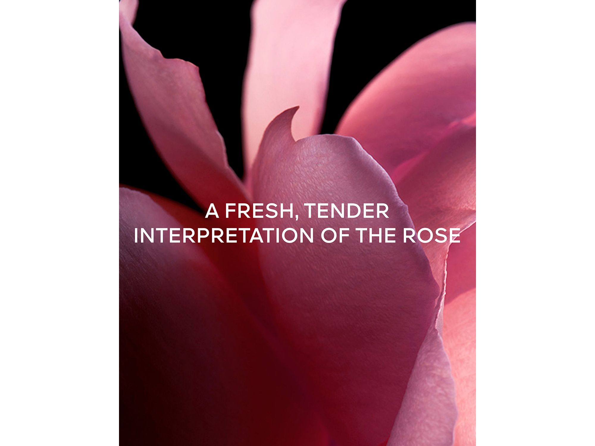 L'Art & La Matière Rose Chérie Eau de Parfum — Image 8