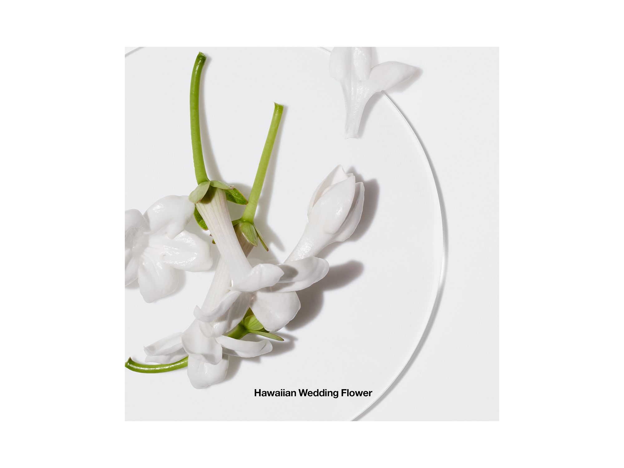 Happy™ Perfume Spray — Image 8