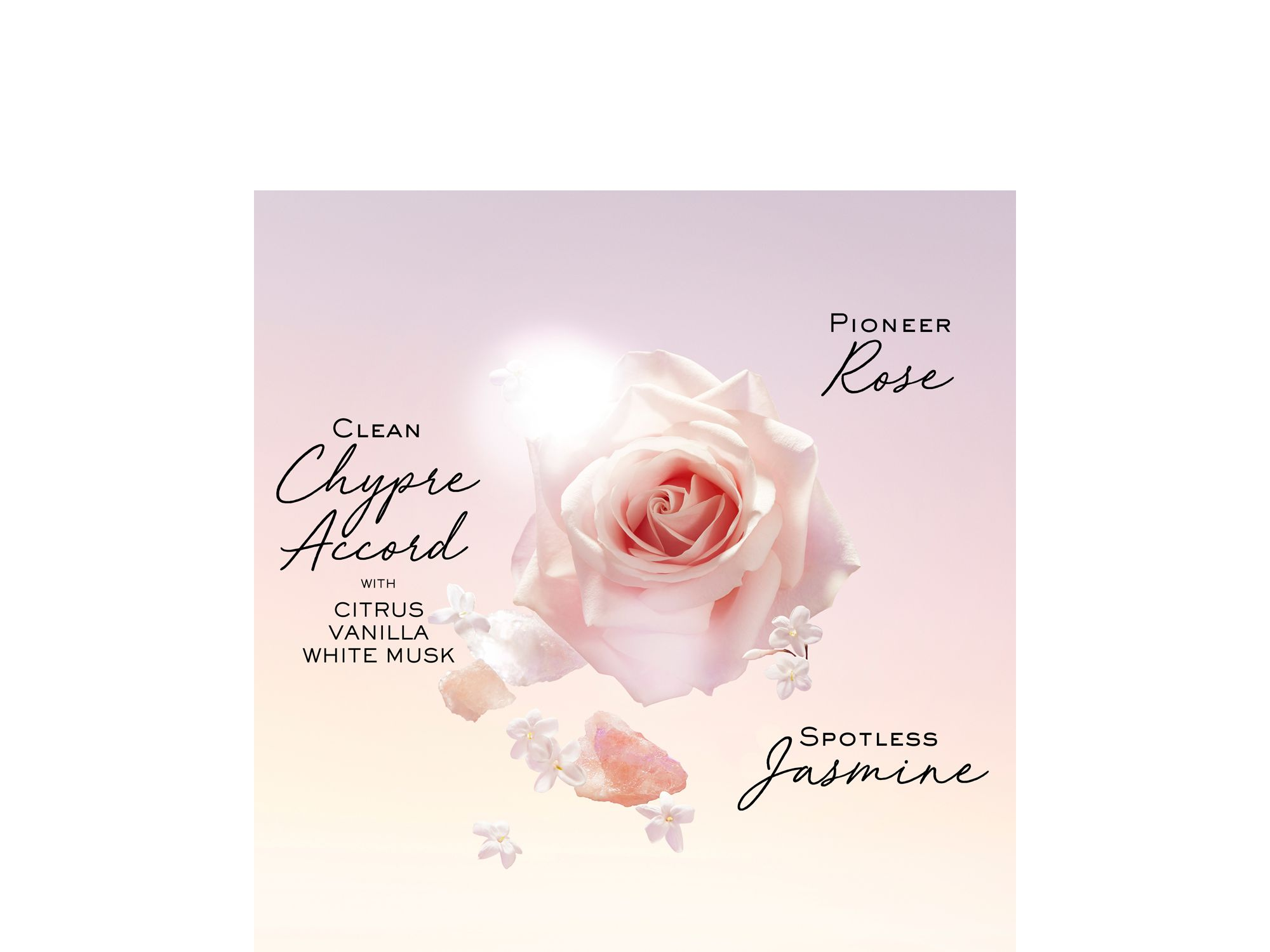 Idôle Le Parfum — Image 5