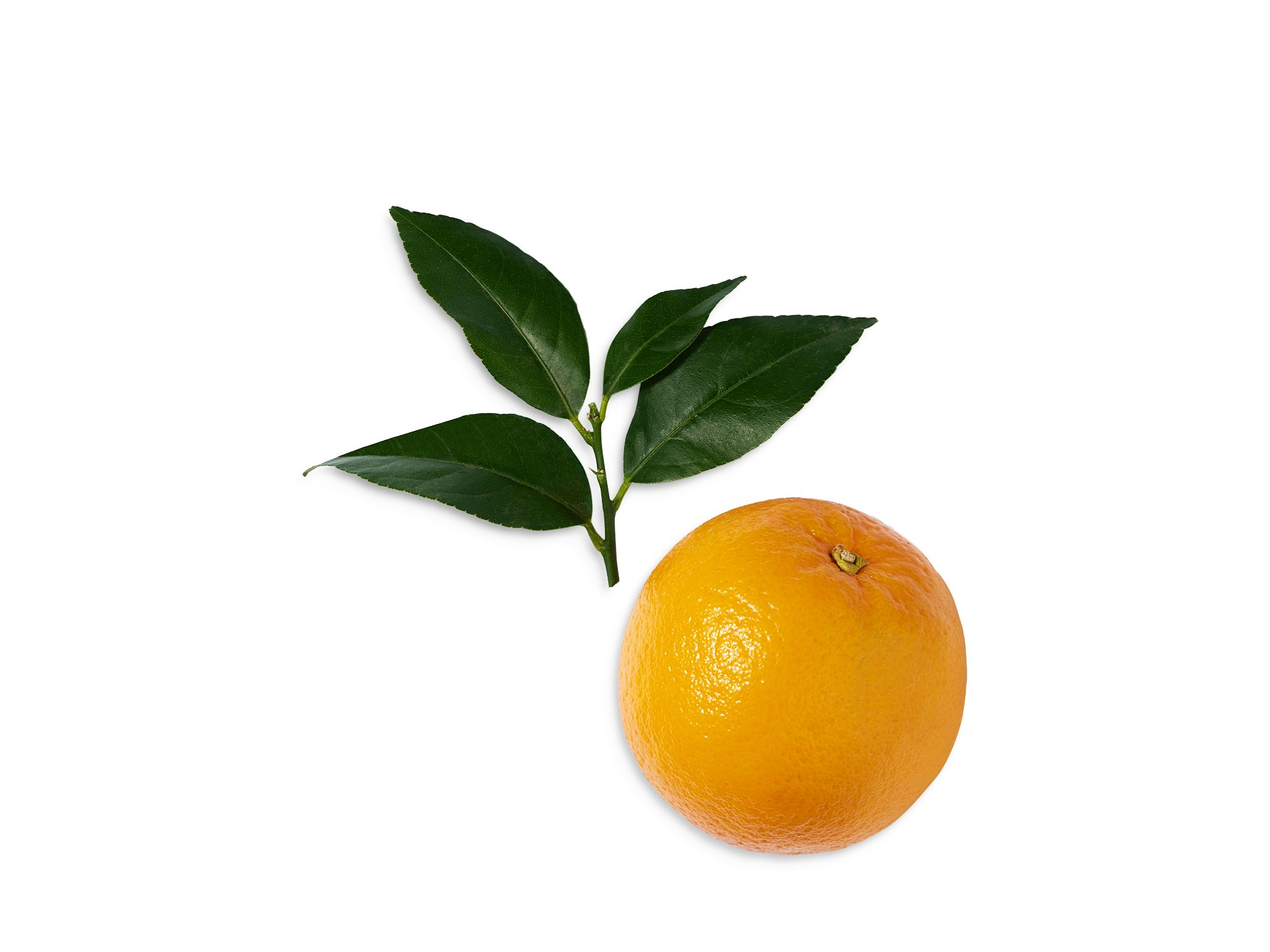 Miracle Eau de Parfum — Image 5