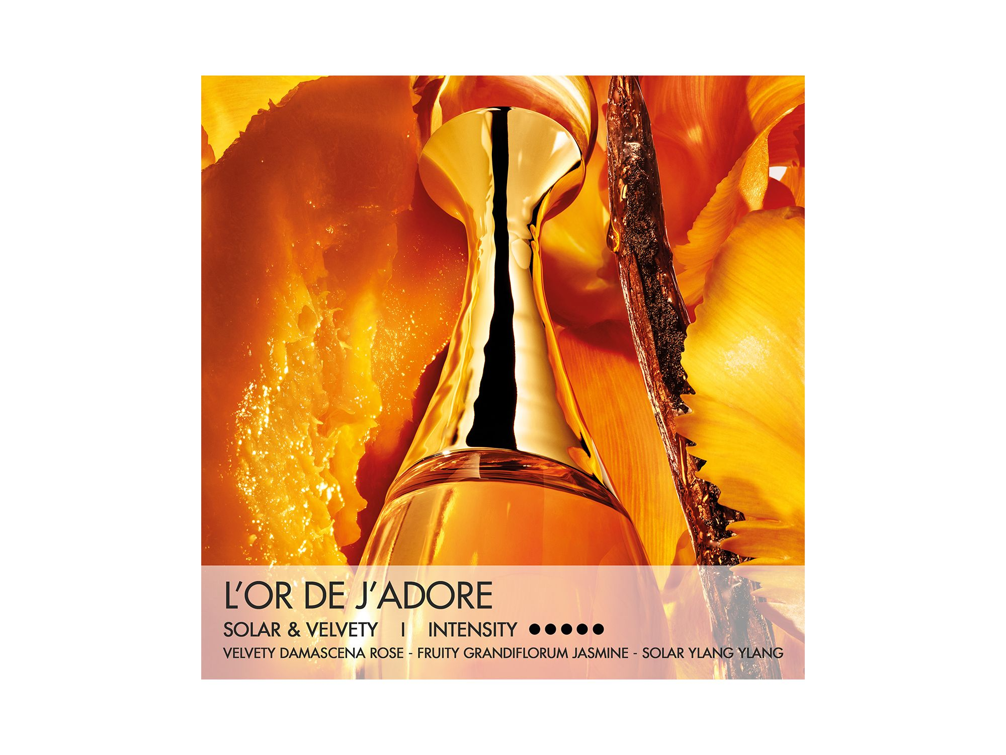 J'adore L'Or — Image 3