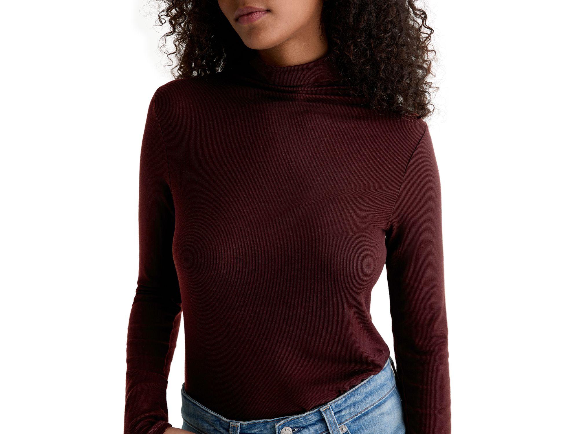 The Chels Long Sleeve Ribbed Turtleneck — Image 3