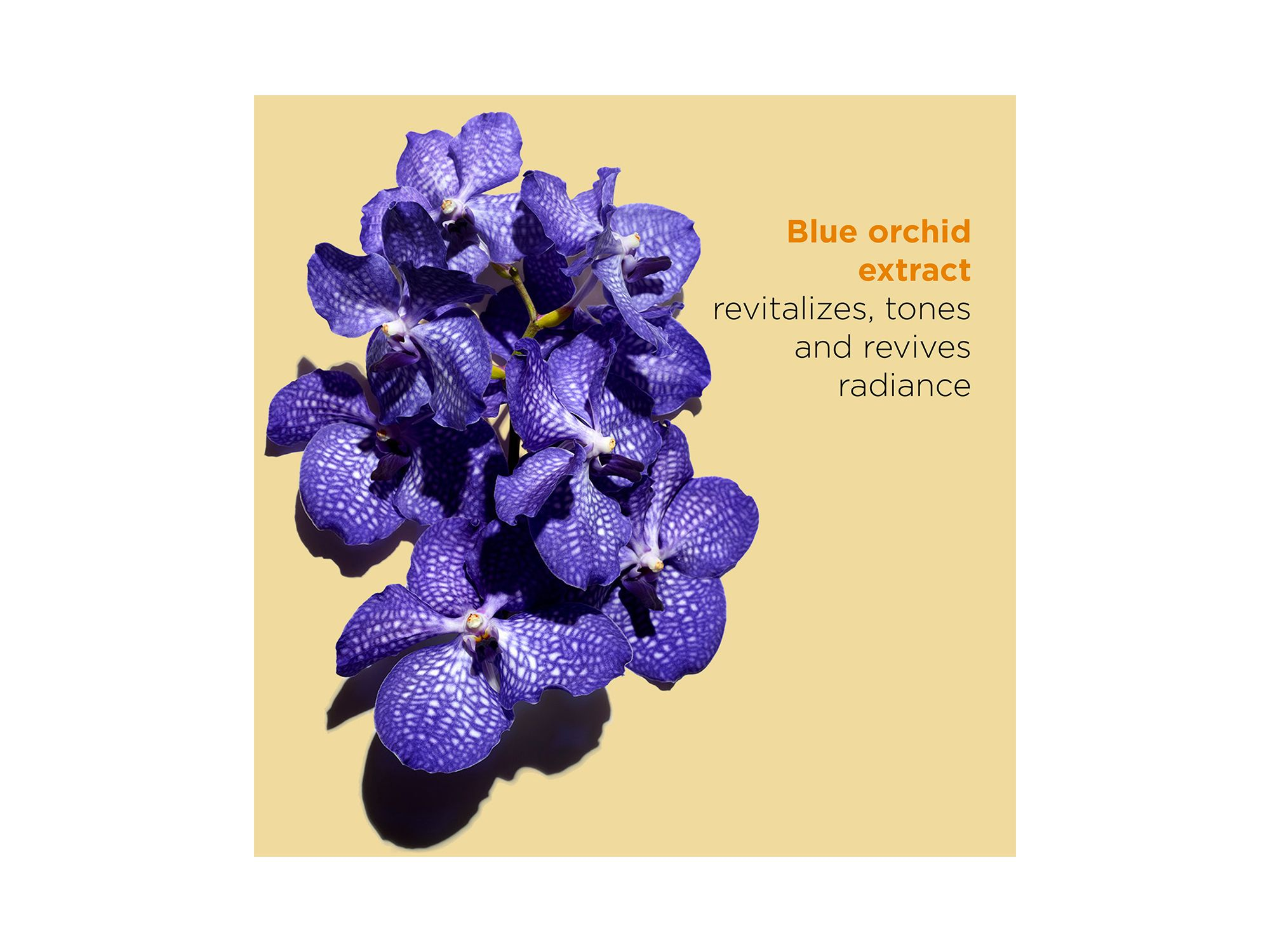 Blue Orchid Radiance & Hydrating Face Treatment Oil 1 oz. — Image 4