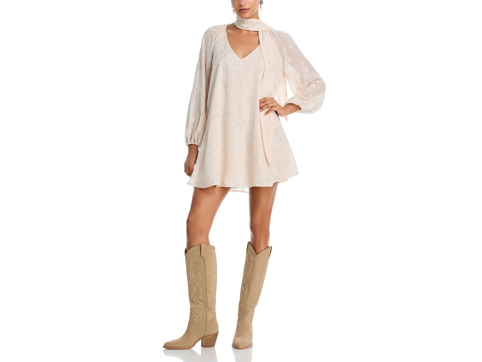 Embroidered Floral Chiffon Mini Dress - Exclusive — Image 6