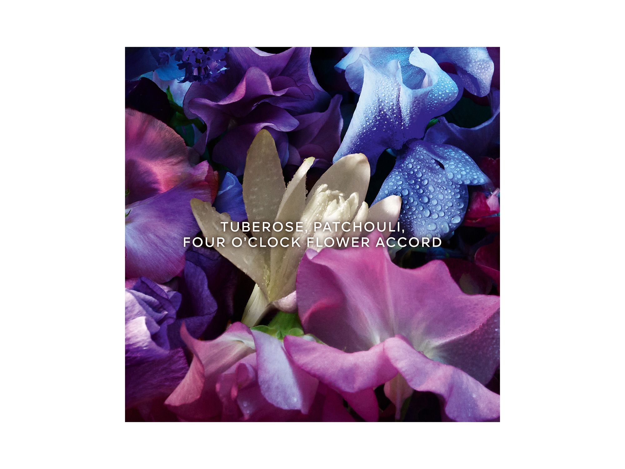 Absolus Allegoria Florabloom Eau de Parfum 4.2 oz. — Image 5