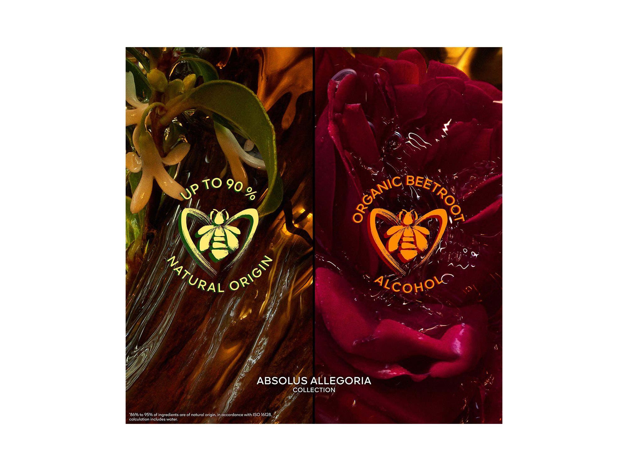 Absolus Allegoria Rose Amira Eau de Parfum 4.2 oz. — Image 5