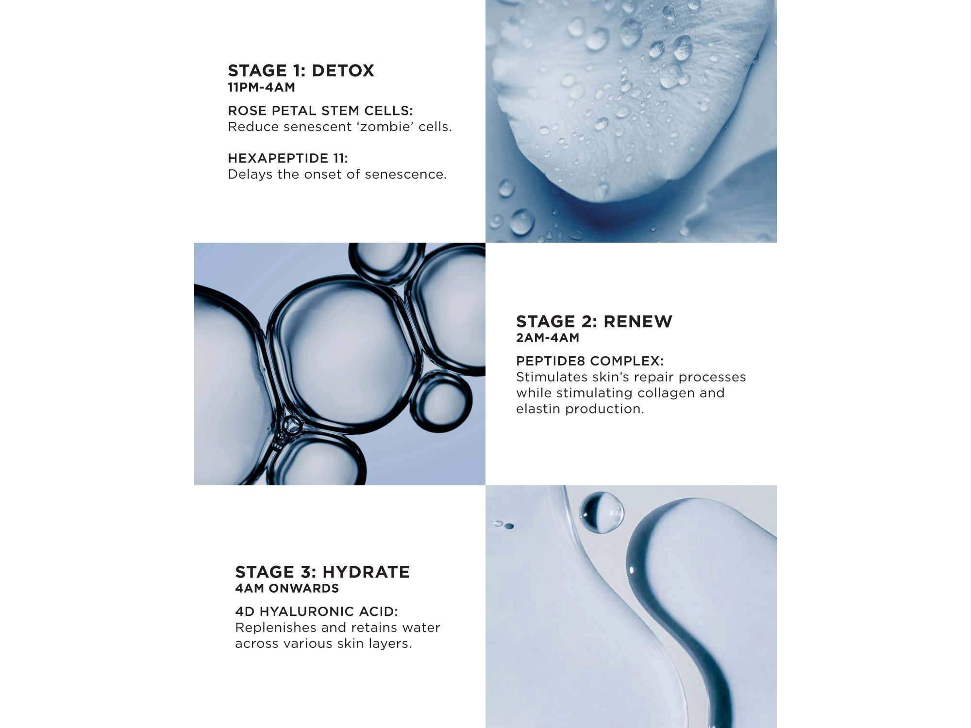 The Absolute Peptide8 Night Serum — Image 3