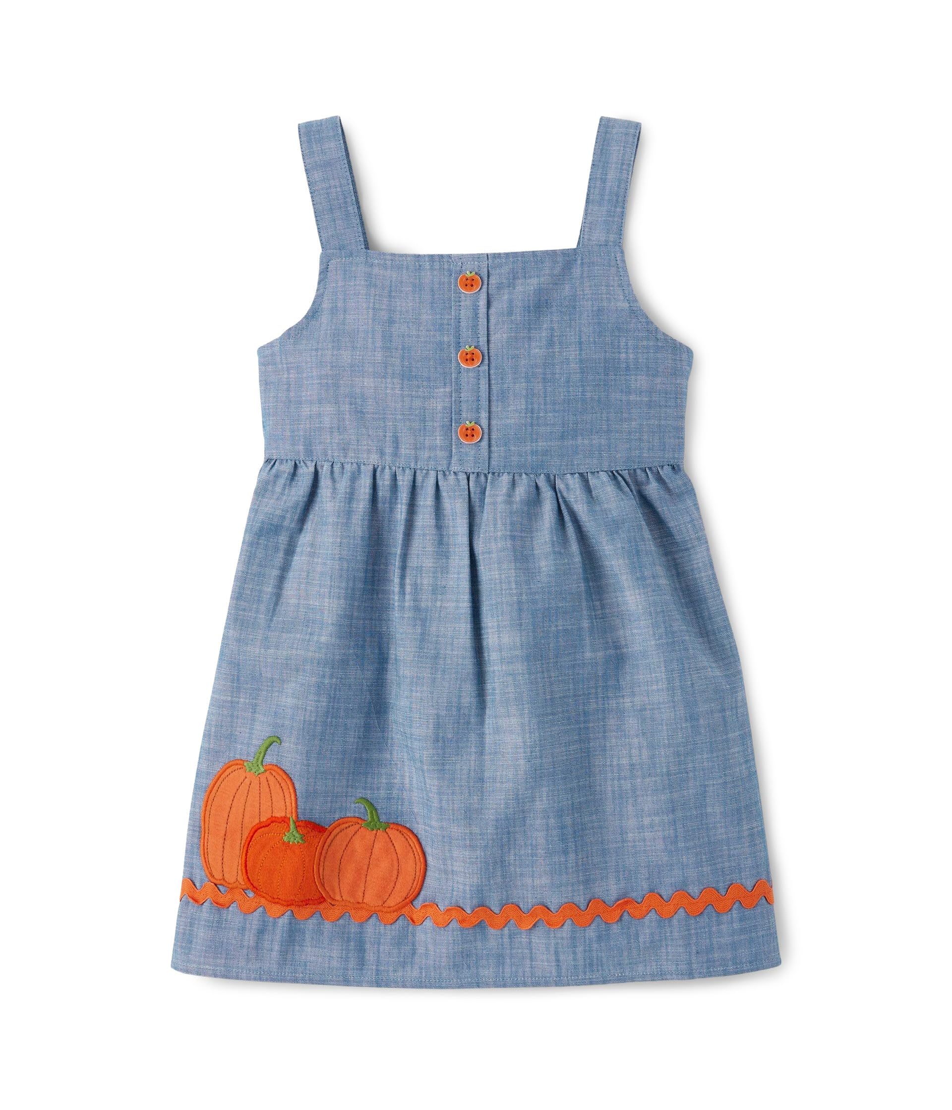 Embroidered Sleeveless Skirtall Jumper (Big Kid)
