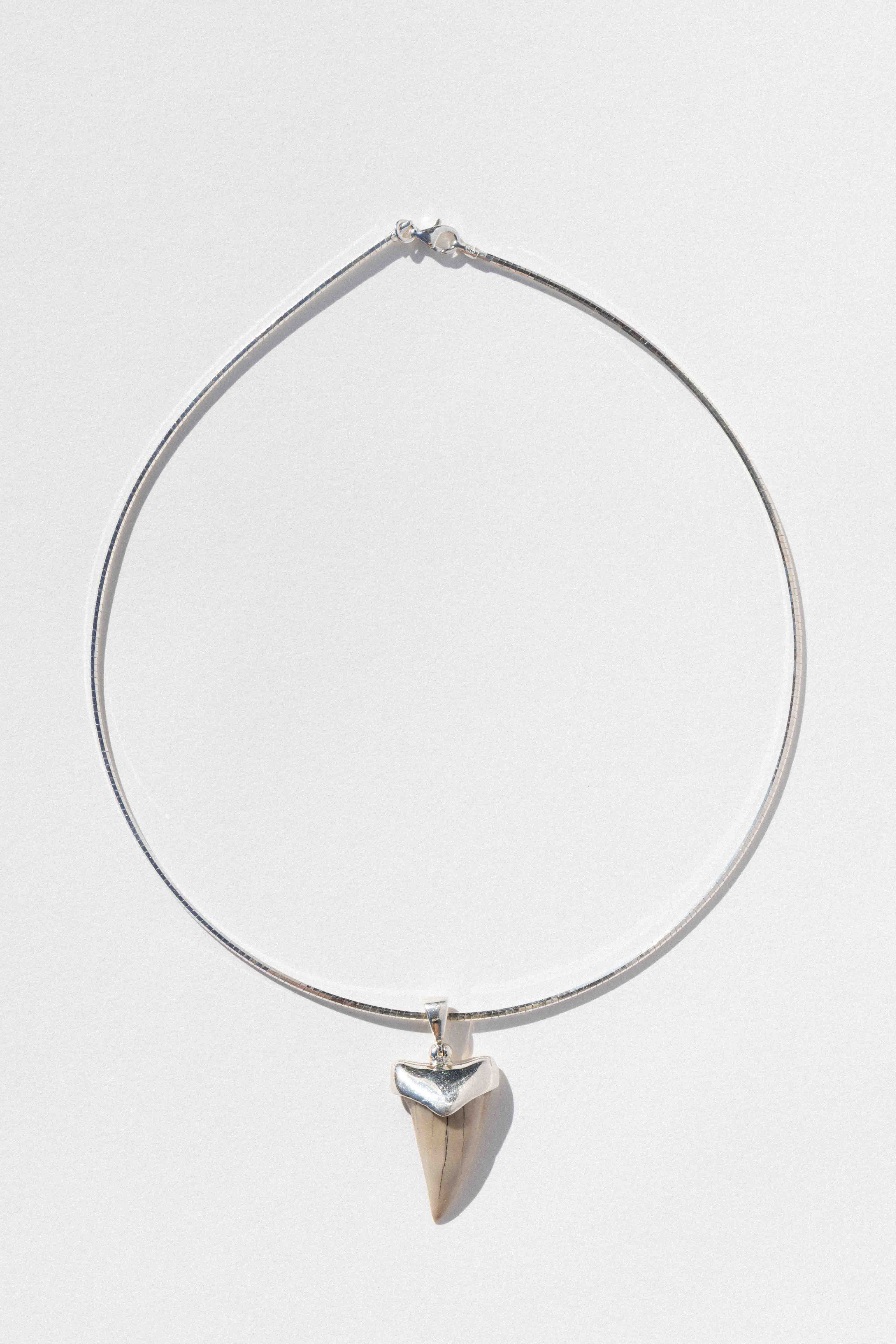 Coastal Cove Shark Tooth Collar