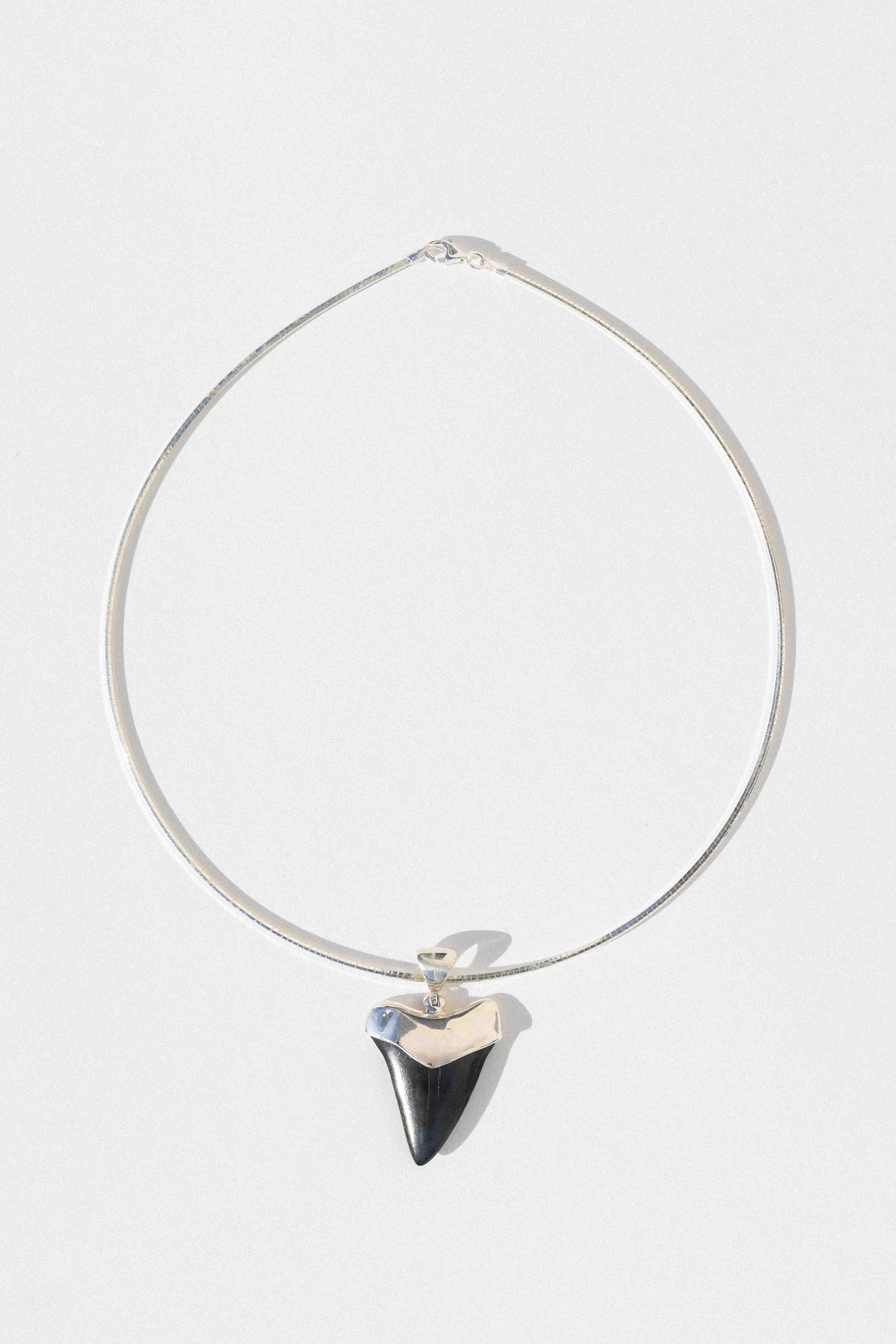 Sunken Apex Shark Tooth Collar