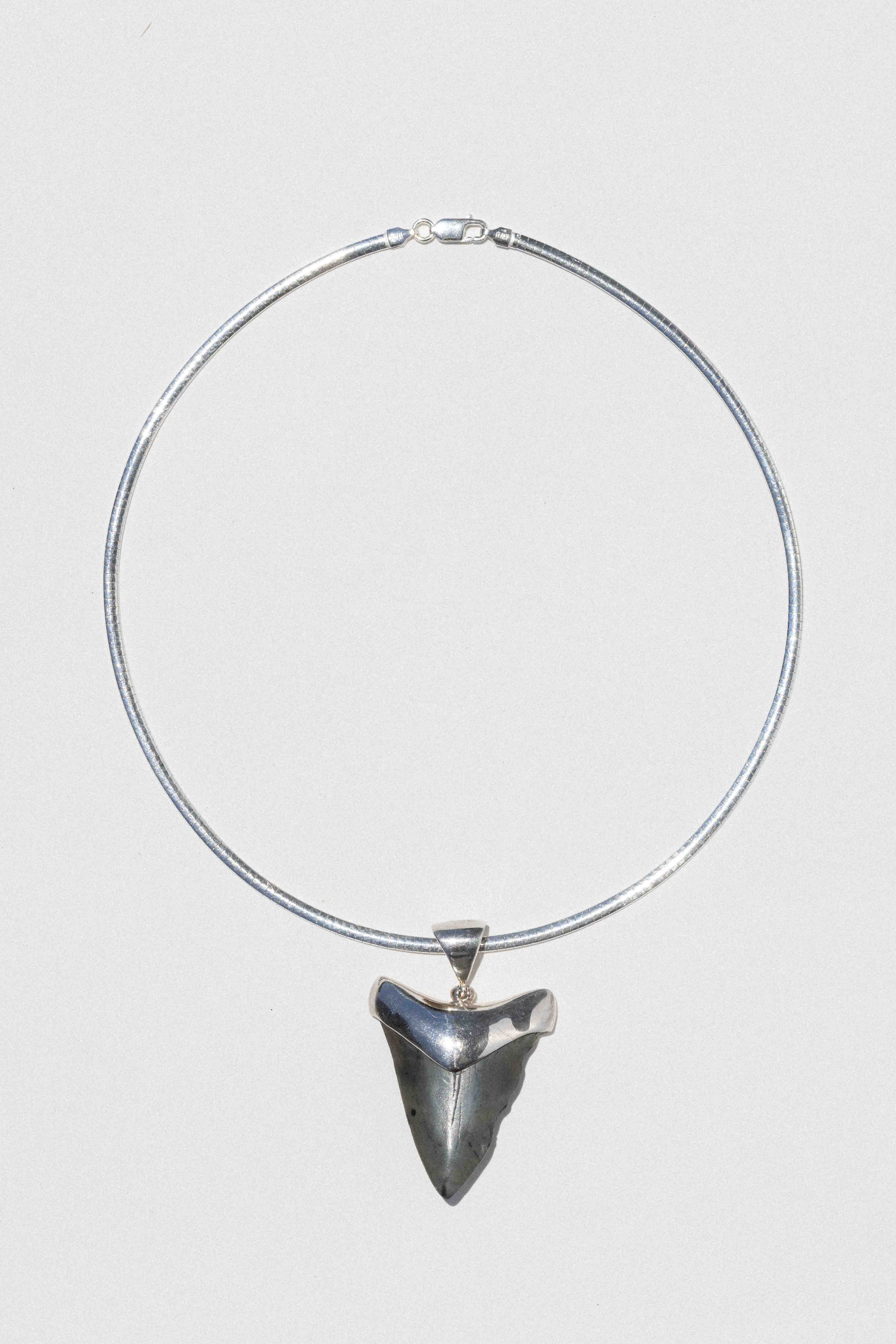 Ancient Abyss Shark Tooth Necklace