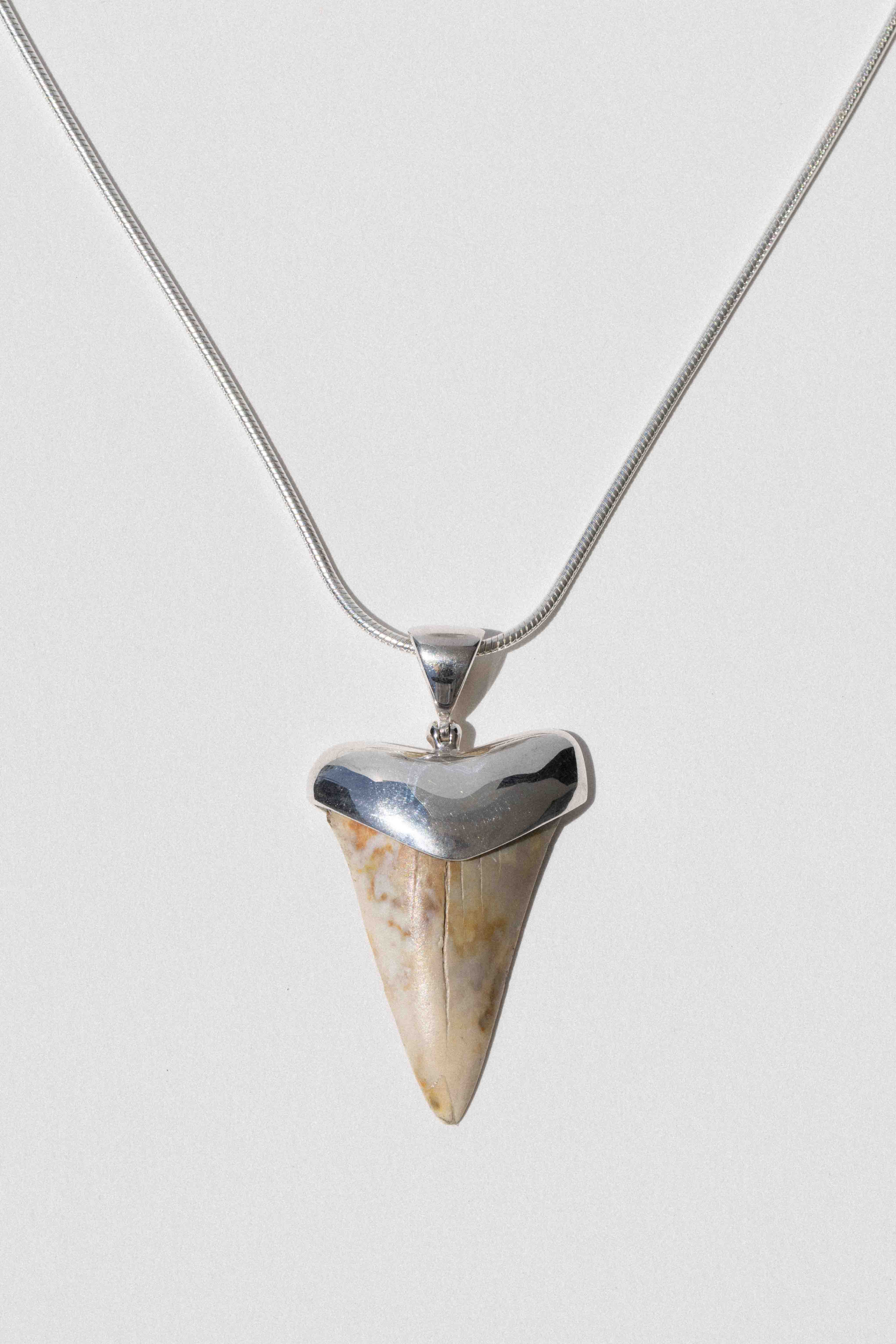Saltline Shark Tooth Necklace