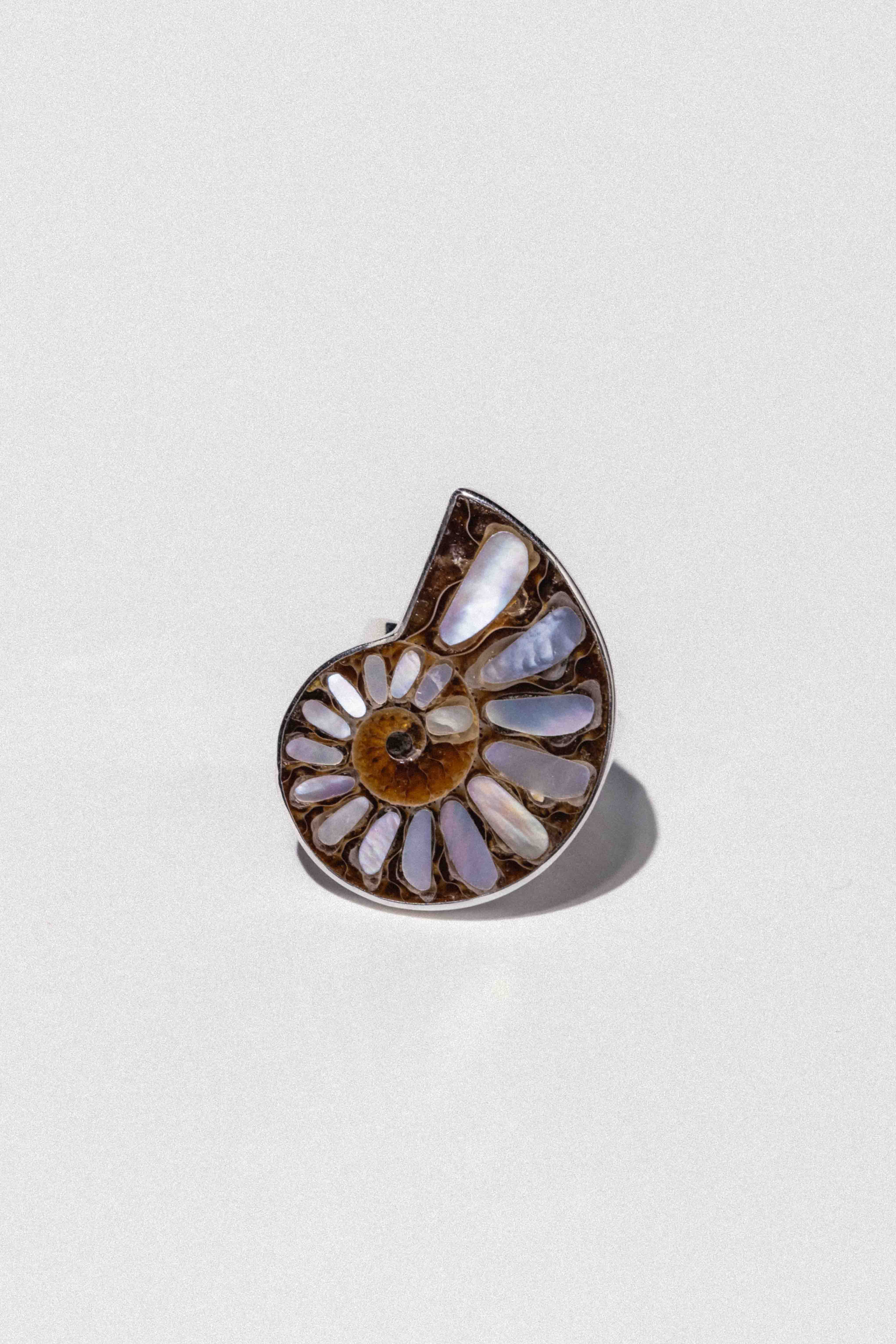 Tidal Relic Ammonite Ring