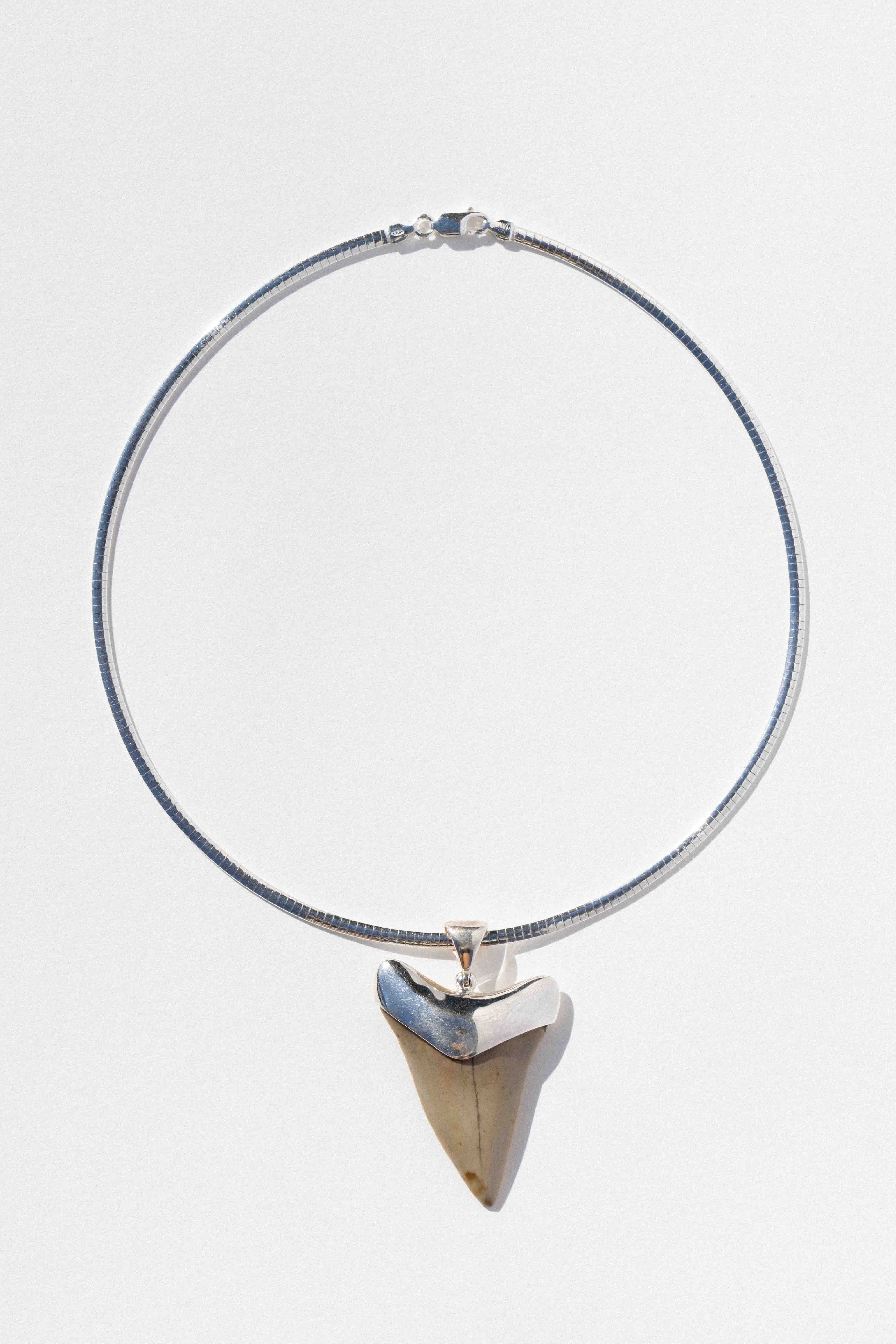 Tidefall Shark Tooth Collar
