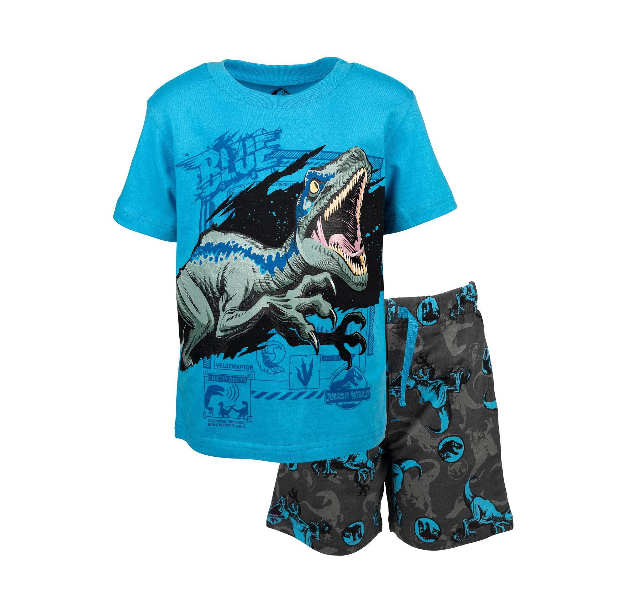 Boys T-Shirt and French Terry Shorts Outfit Set to