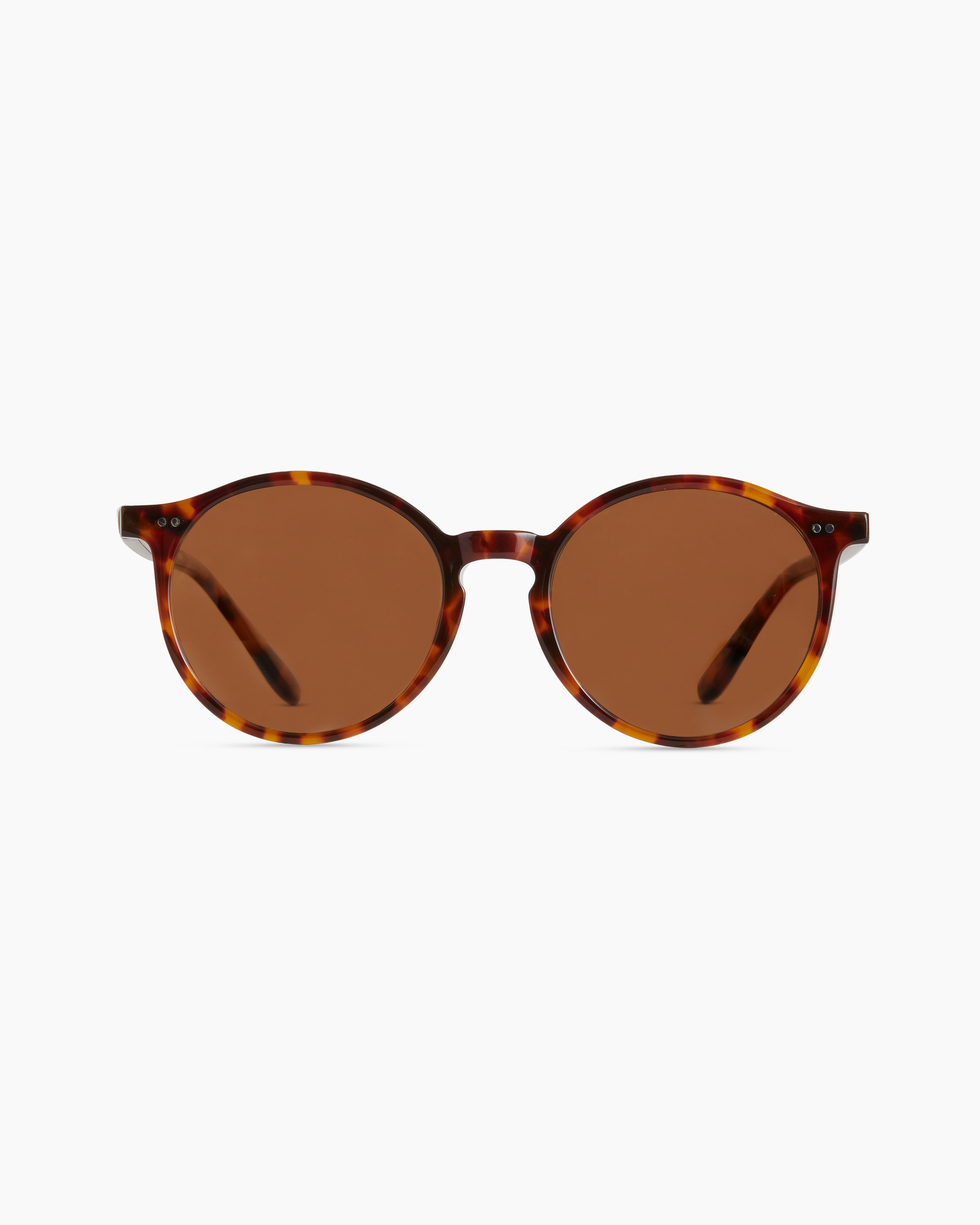 Brixton Polarized Acetate Sunglasses — Image 20